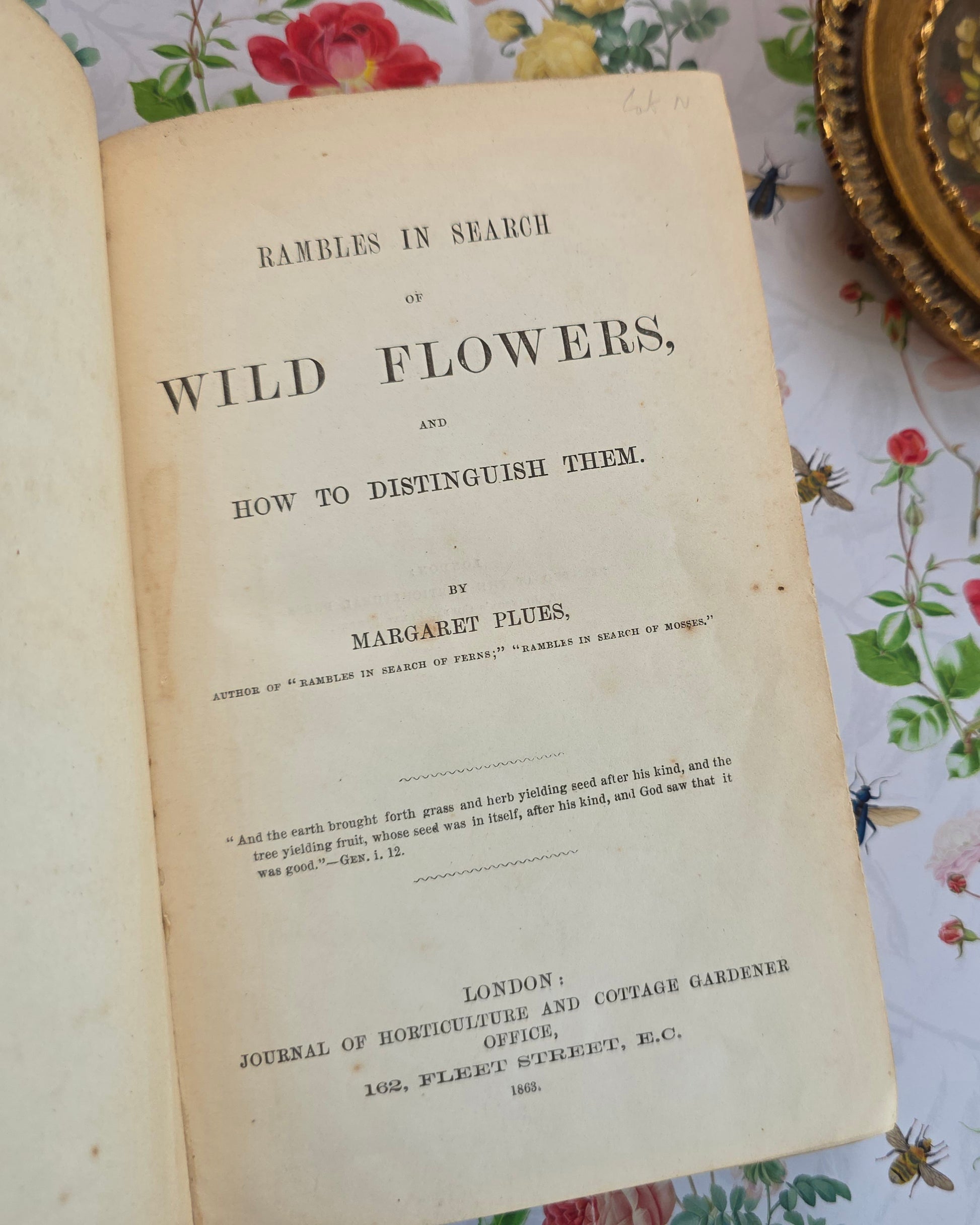 Title page of an antique book titled 'Rambles in Search of Wild Flowers' first edition from 1863.
