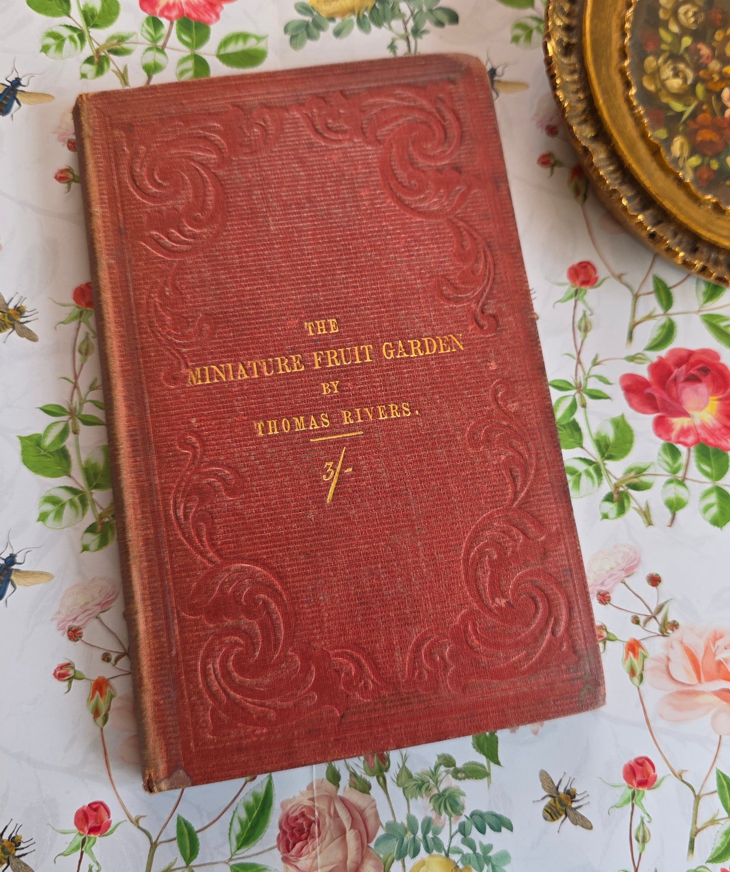 1867 The Miniature Fruit Garden by Thomas Rivers - Illustrated Antique Book