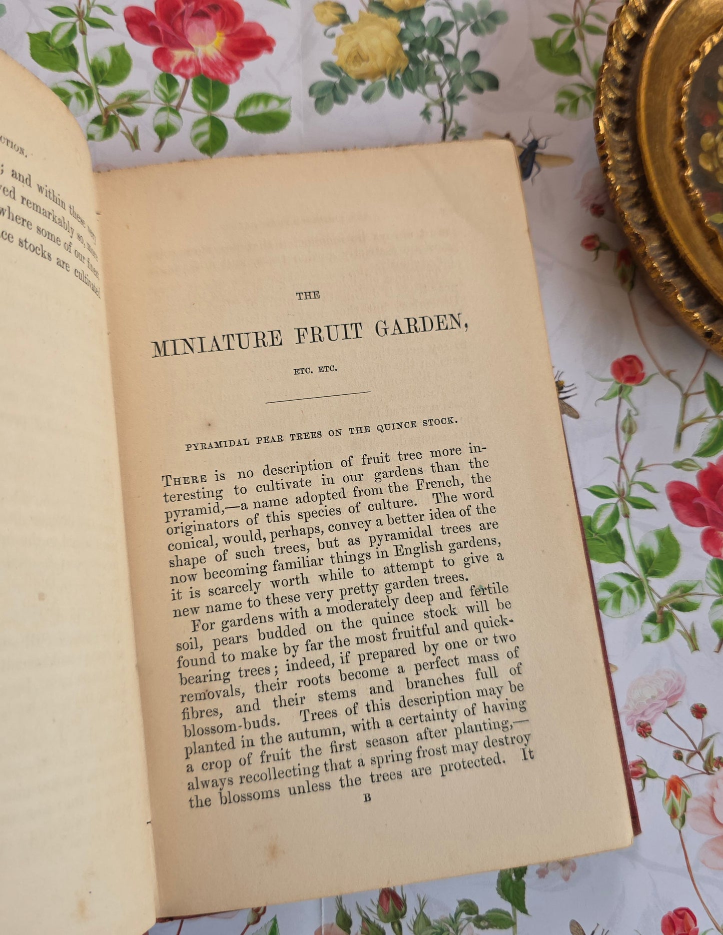 1867 The Miniature Fruit Garden by Thomas Rivers - Illustrated Antique Book