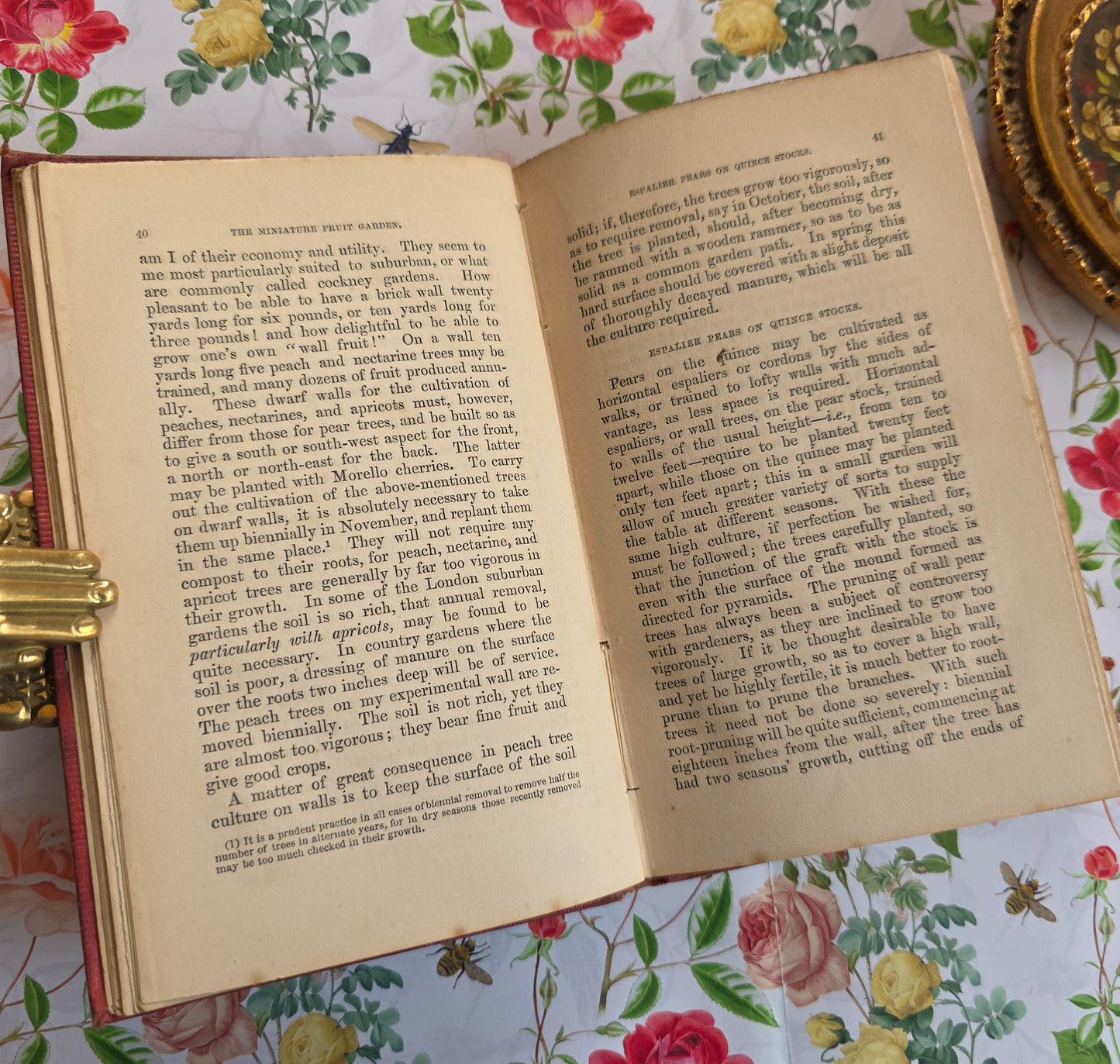 1867 The Miniature Fruit Garden by Thomas Rivers - Illustrated Antique Book