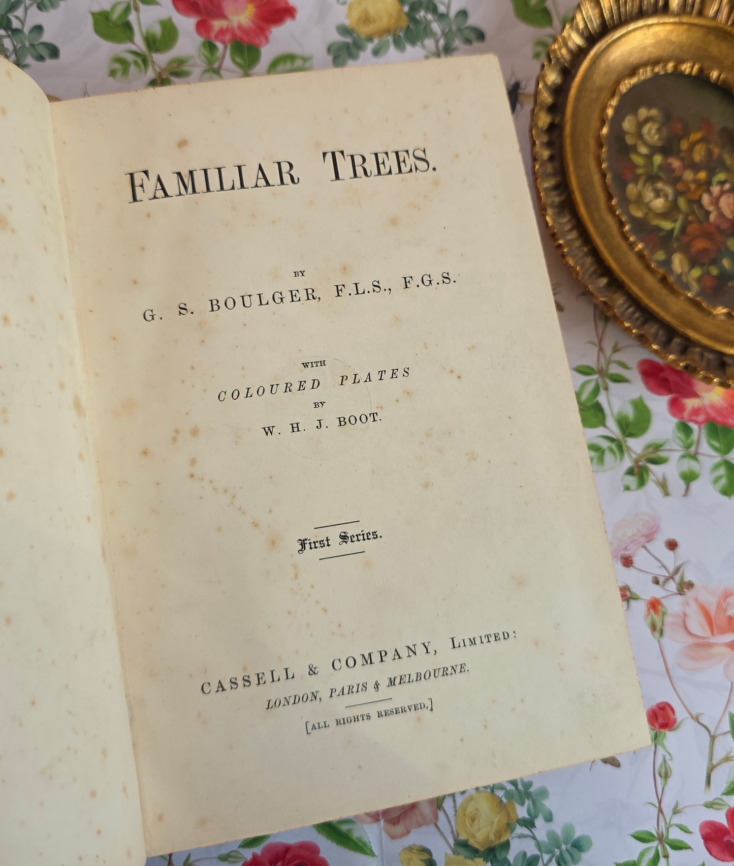 1908 Familiar Trees by GS Boulger - Illustrated Antique Book