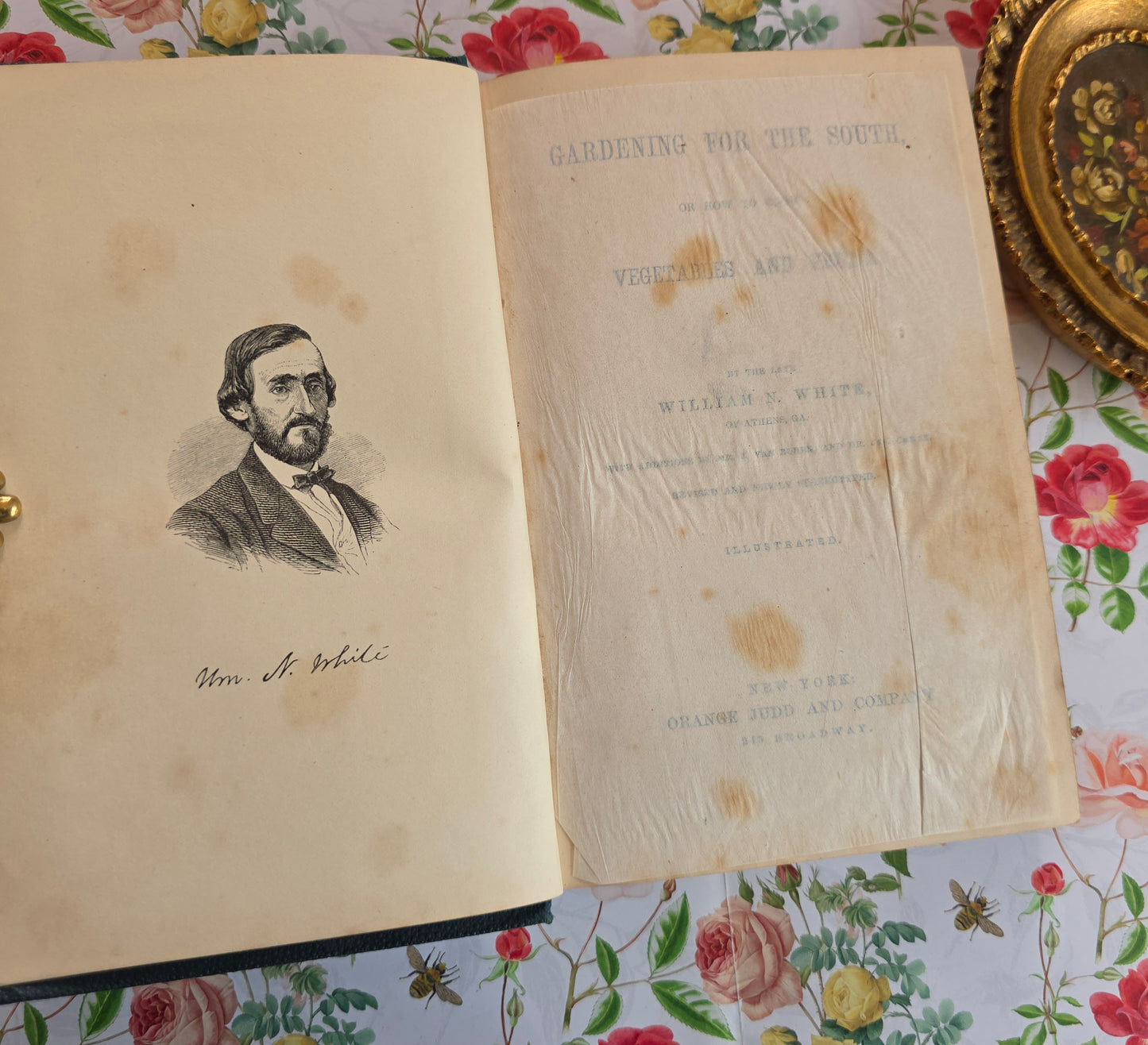 1868 Gardening For the South - Illustrated Antique Book