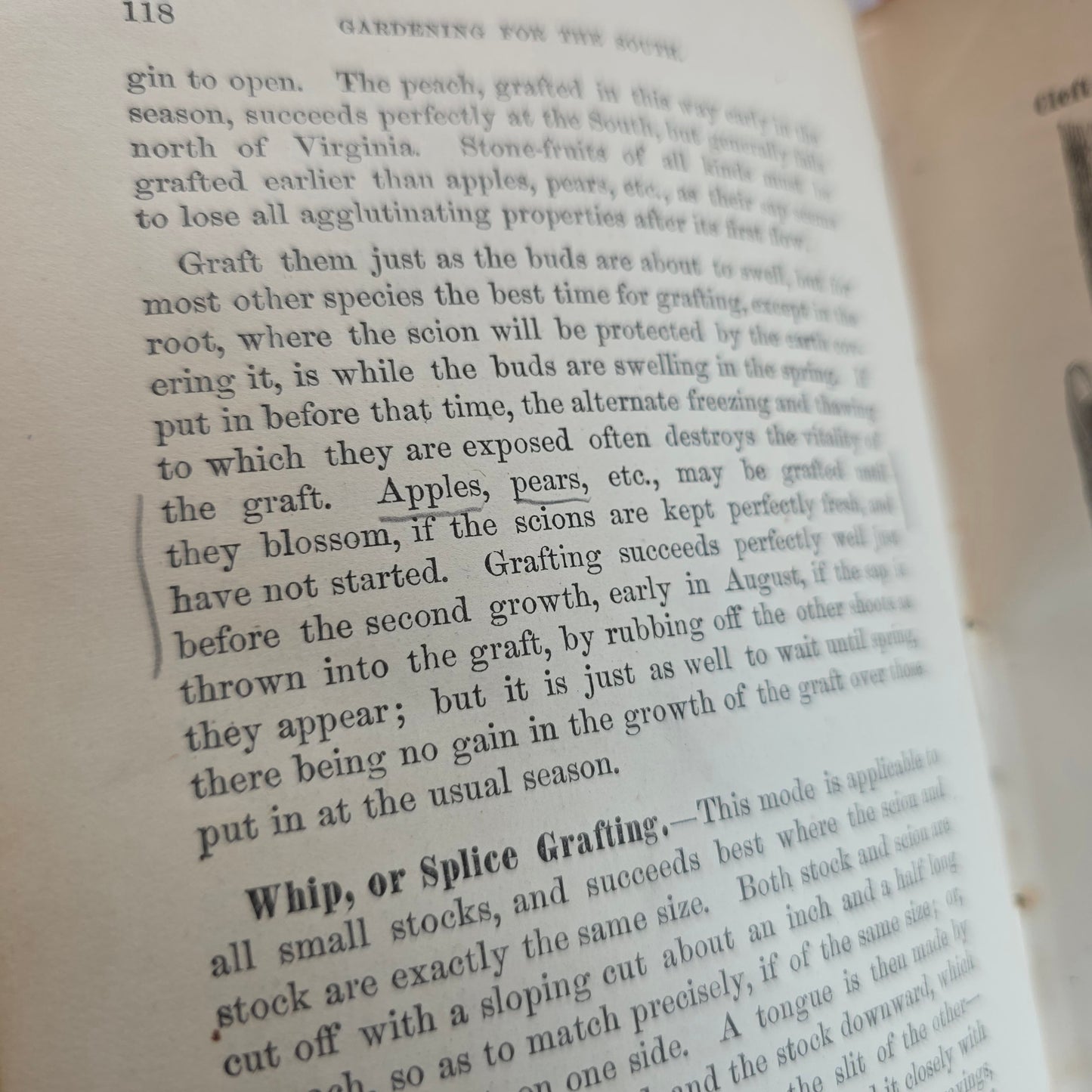 1868 Gardening For the South - Illustrated Antique Book