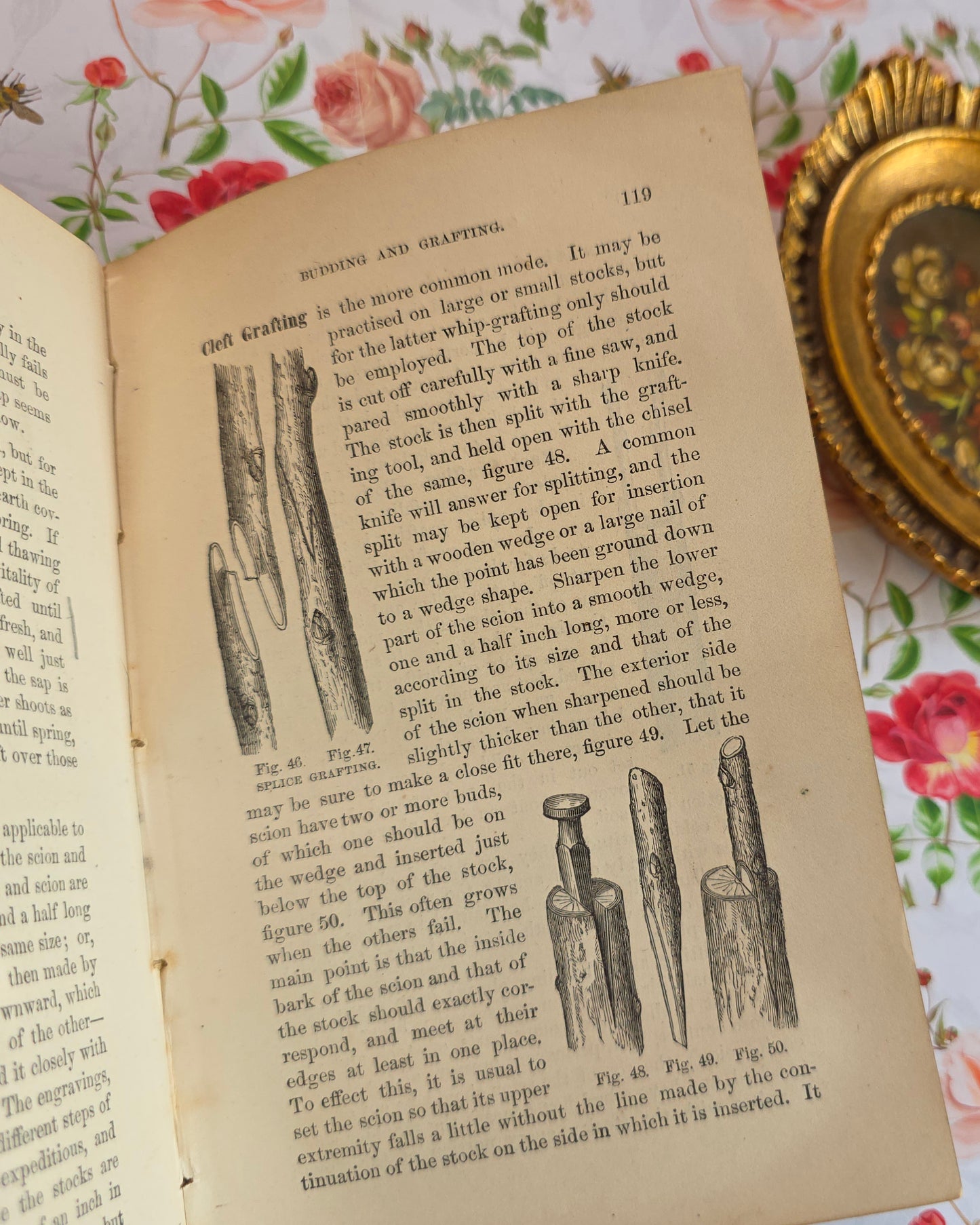 1868 Gardening For the South - Illustrated Antique Book
