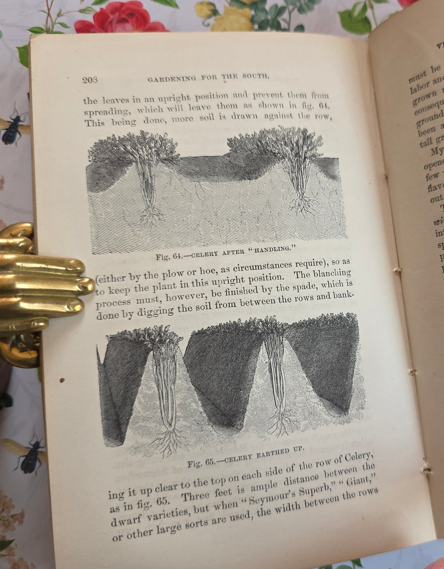 1868 Gardening For the South - Illustrated Antique Book