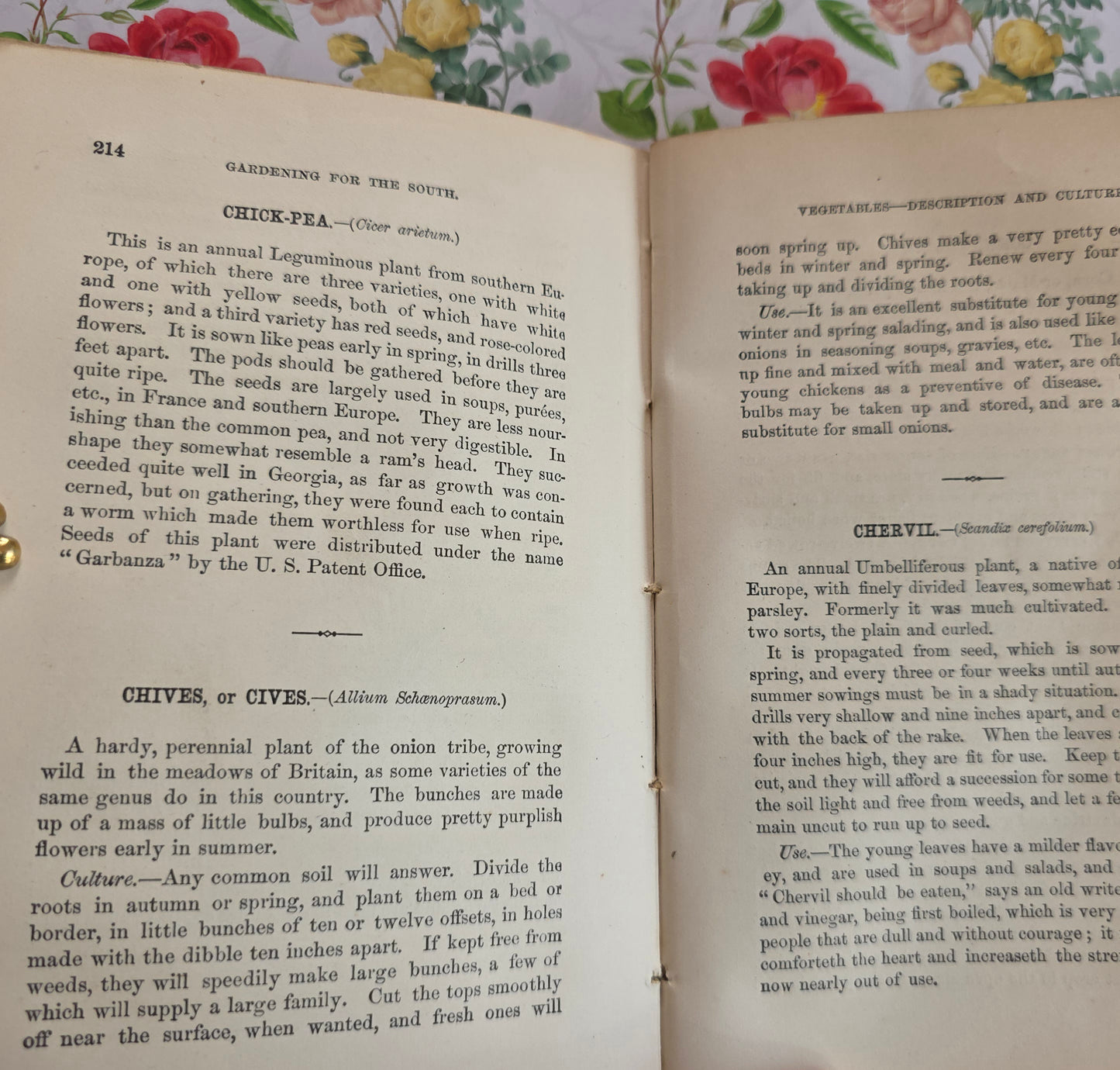 1868 Gardening For the South - Illustrated Antique Book