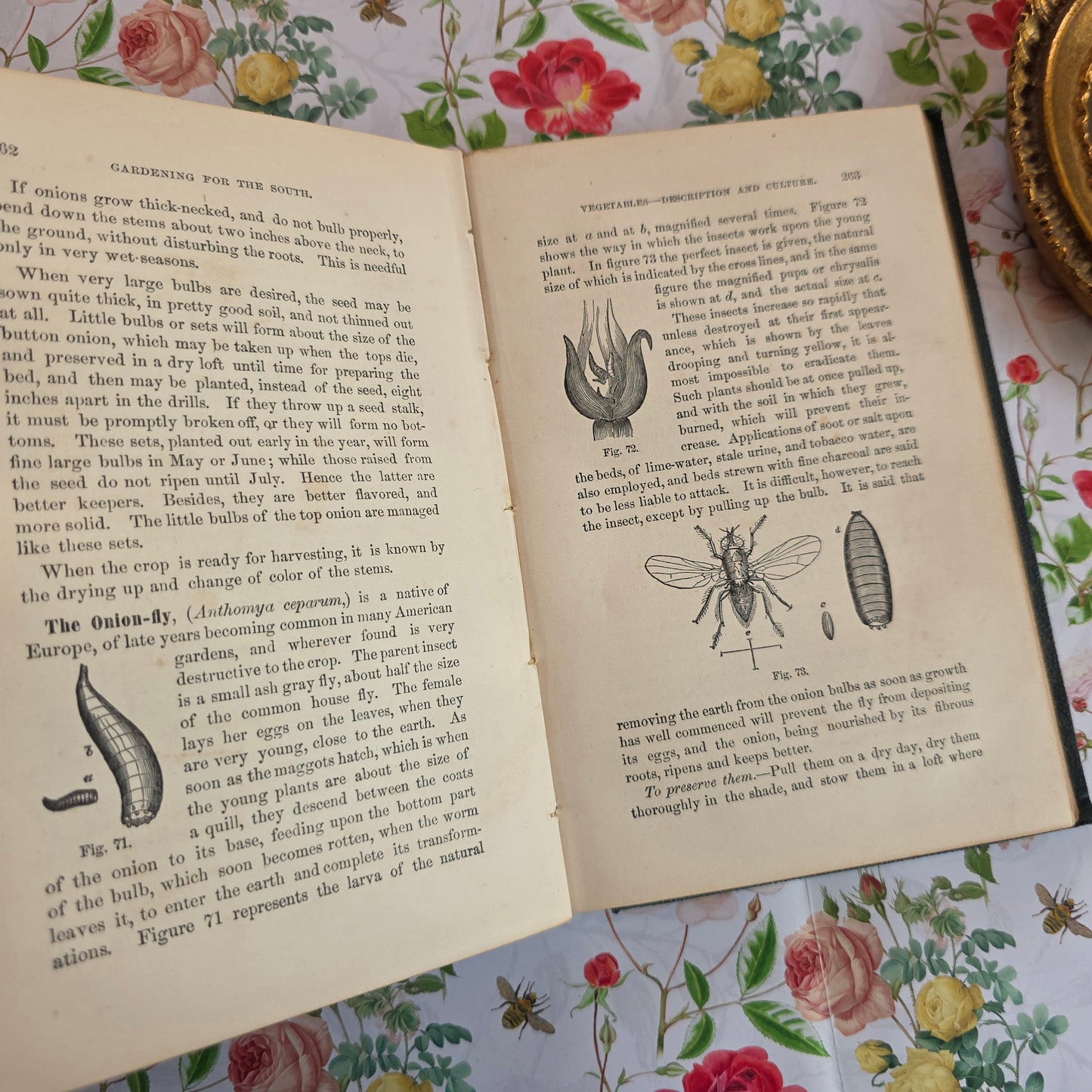 1868 Gardening For the South - Illustrated Antique Book