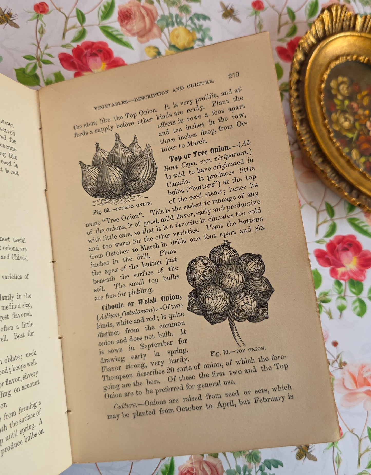 1868 Gardening For the South - Illustrated Antique Book