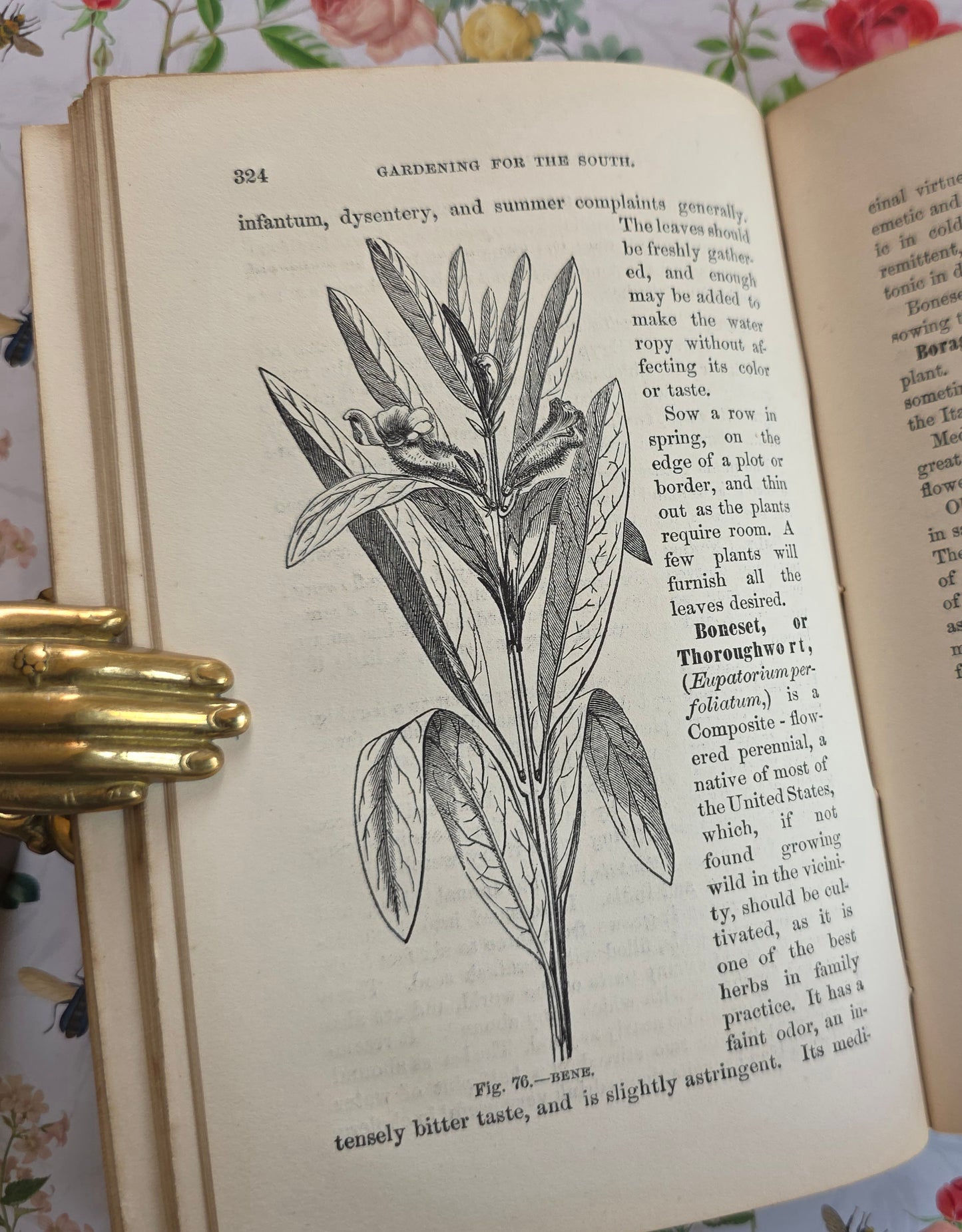 1868 Gardening For the South - Illustrated Antique Book