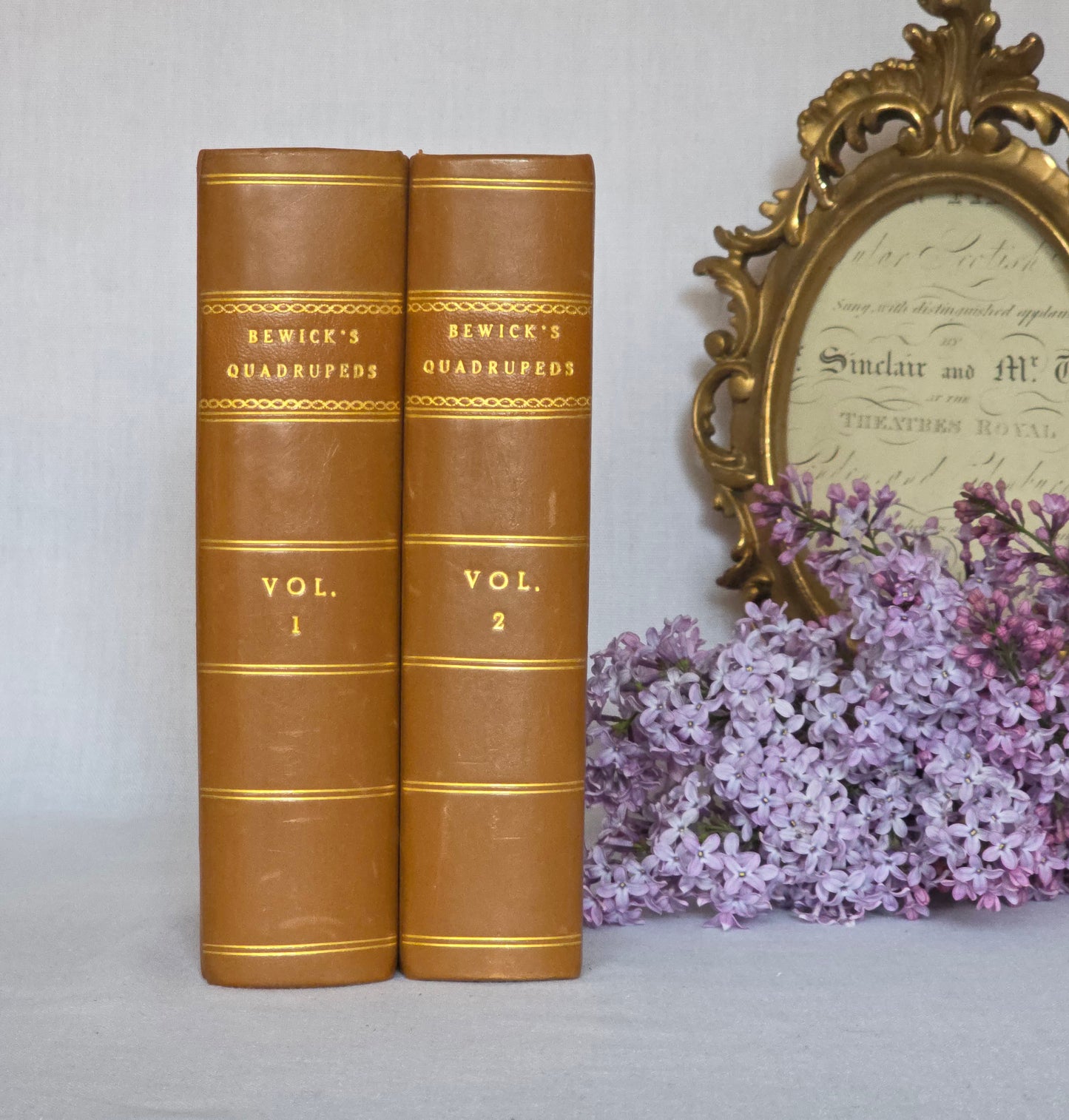 1811 The Natural History of Quadrupeds and Cetaceous Animals - 119 Hand-Coloured Plates