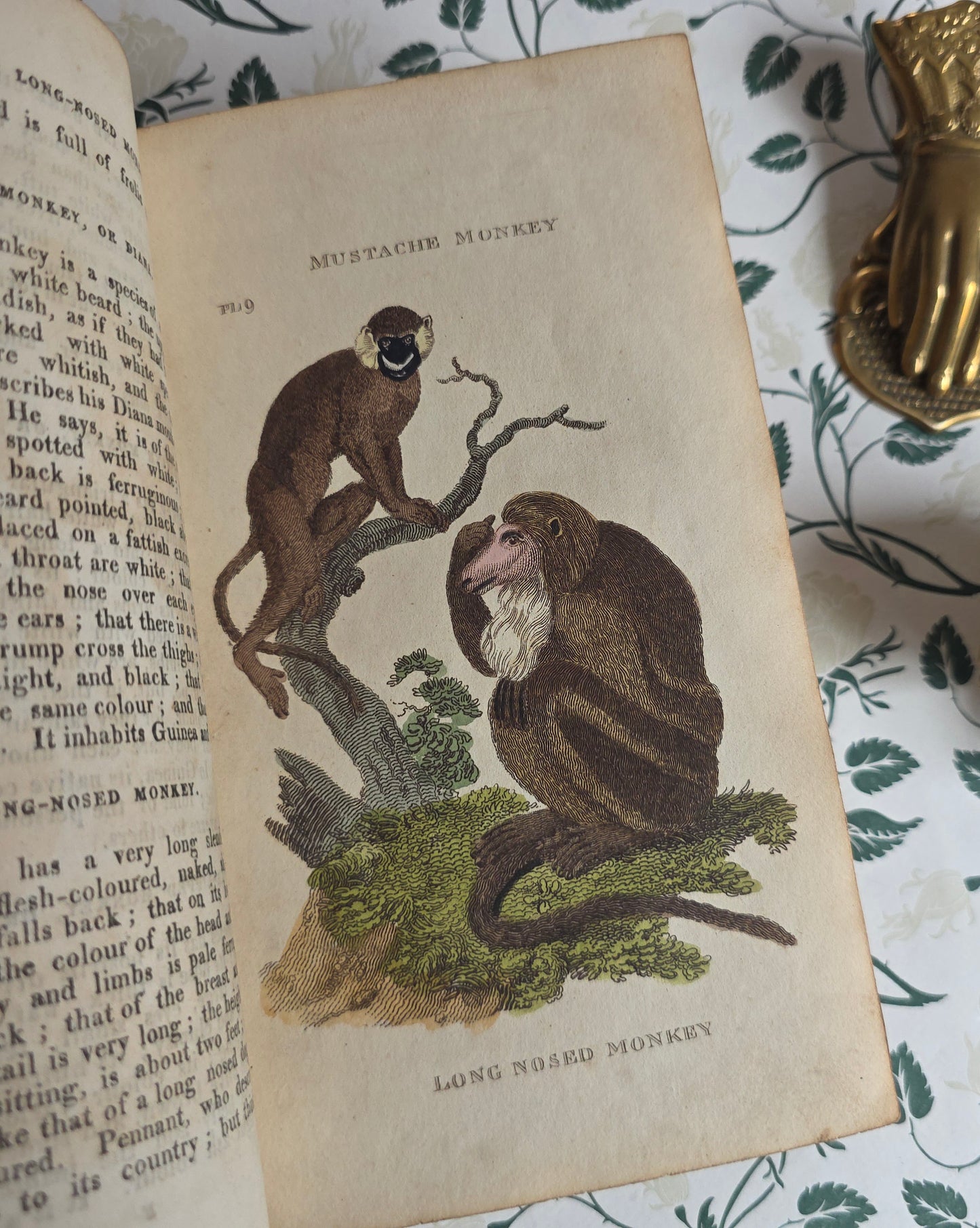 1811 The Natural History of Quadrupeds and Cetaceous Animals - 119 Hand-Coloured Plates