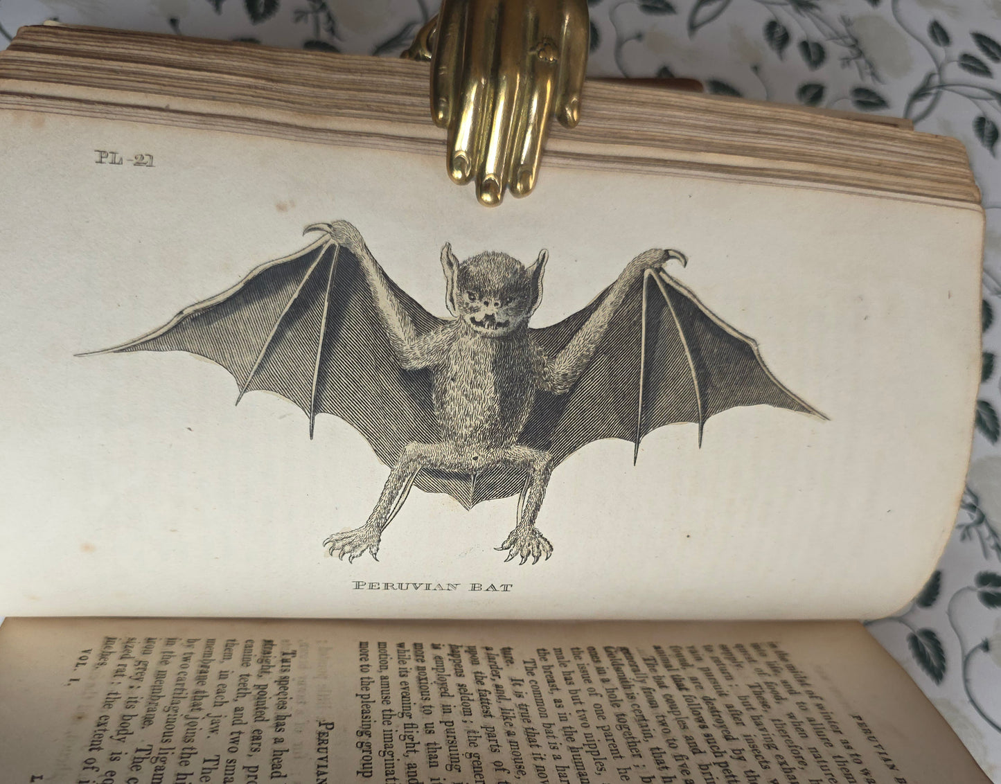 1811 The Natural History of Quadrupeds and Cetaceous Animals - 119 Hand-Coloured Plates