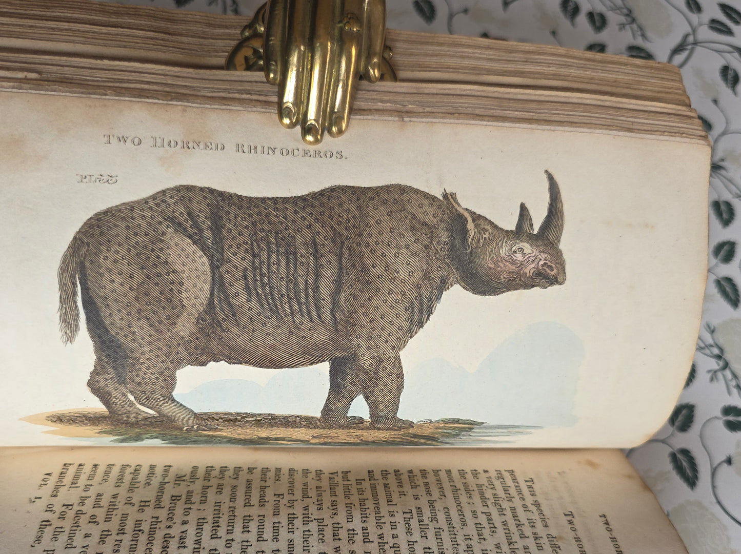 1811 The Natural History of Quadrupeds and Cetaceous Animals - 119 Hand-Coloured Plates