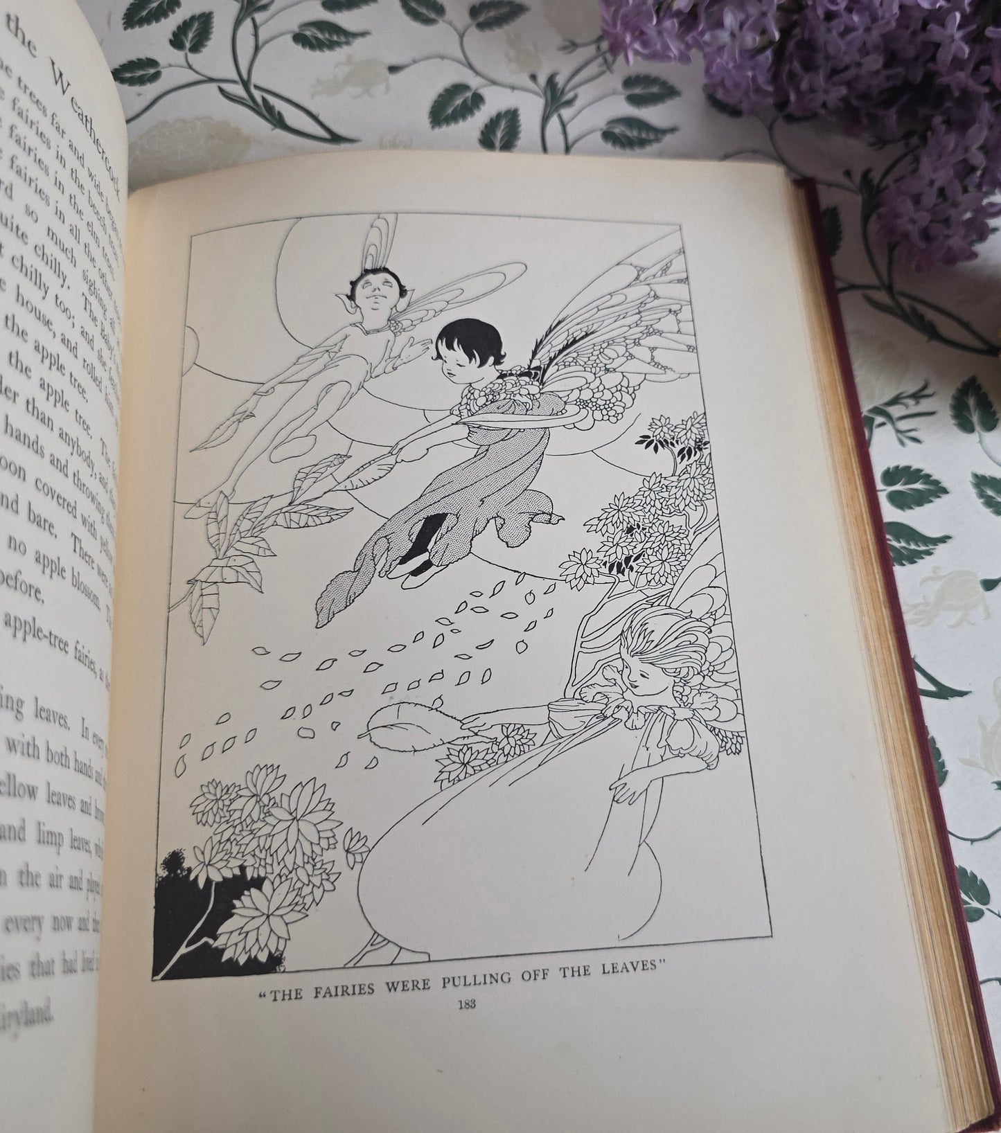 c1907 The Story of the Weathercock by Evelyn Sharp, Illustrated by Charles Robinson