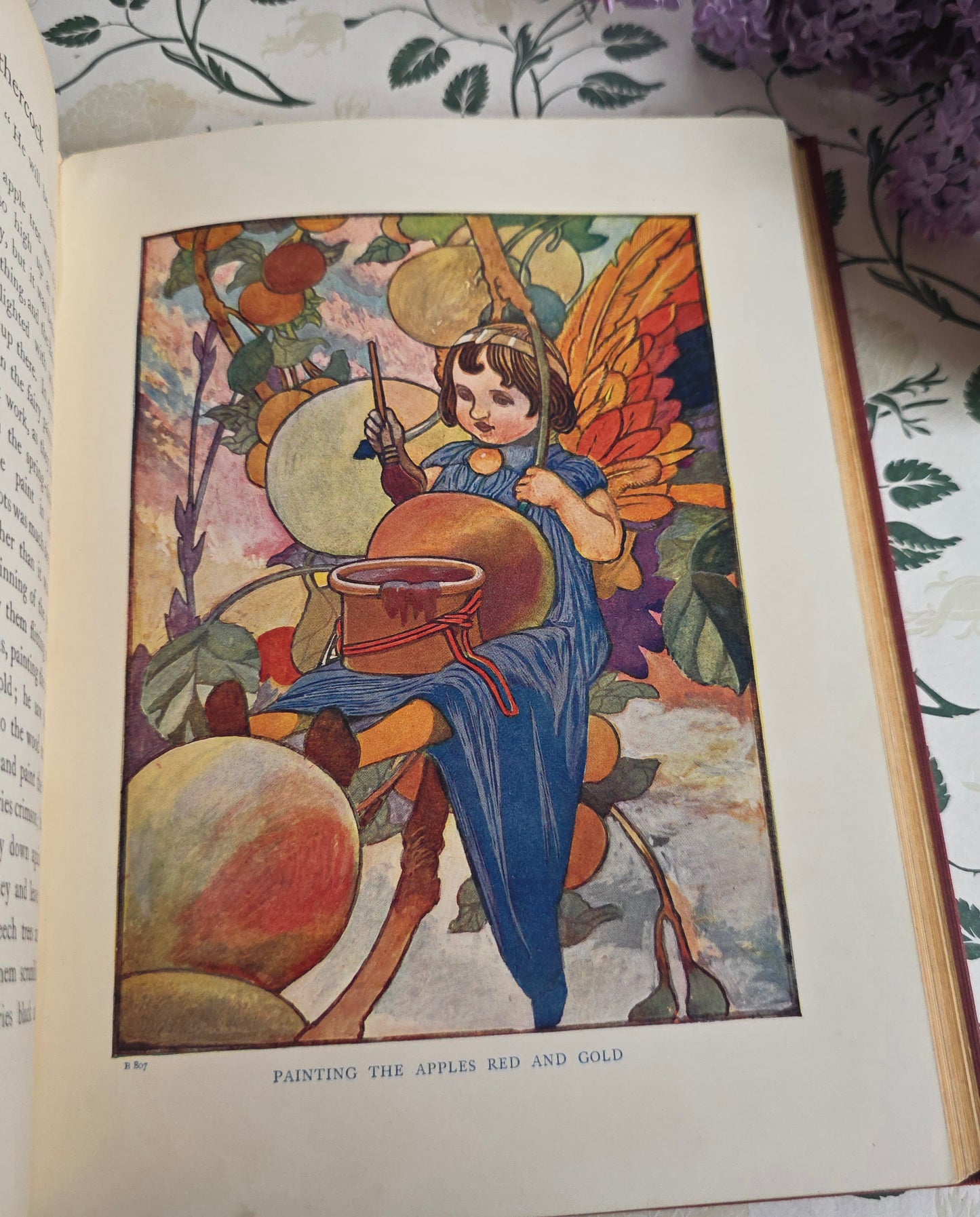 c1907 The Story of the Weathercock by Evelyn Sharp, Illustrated by Charles Robinson
