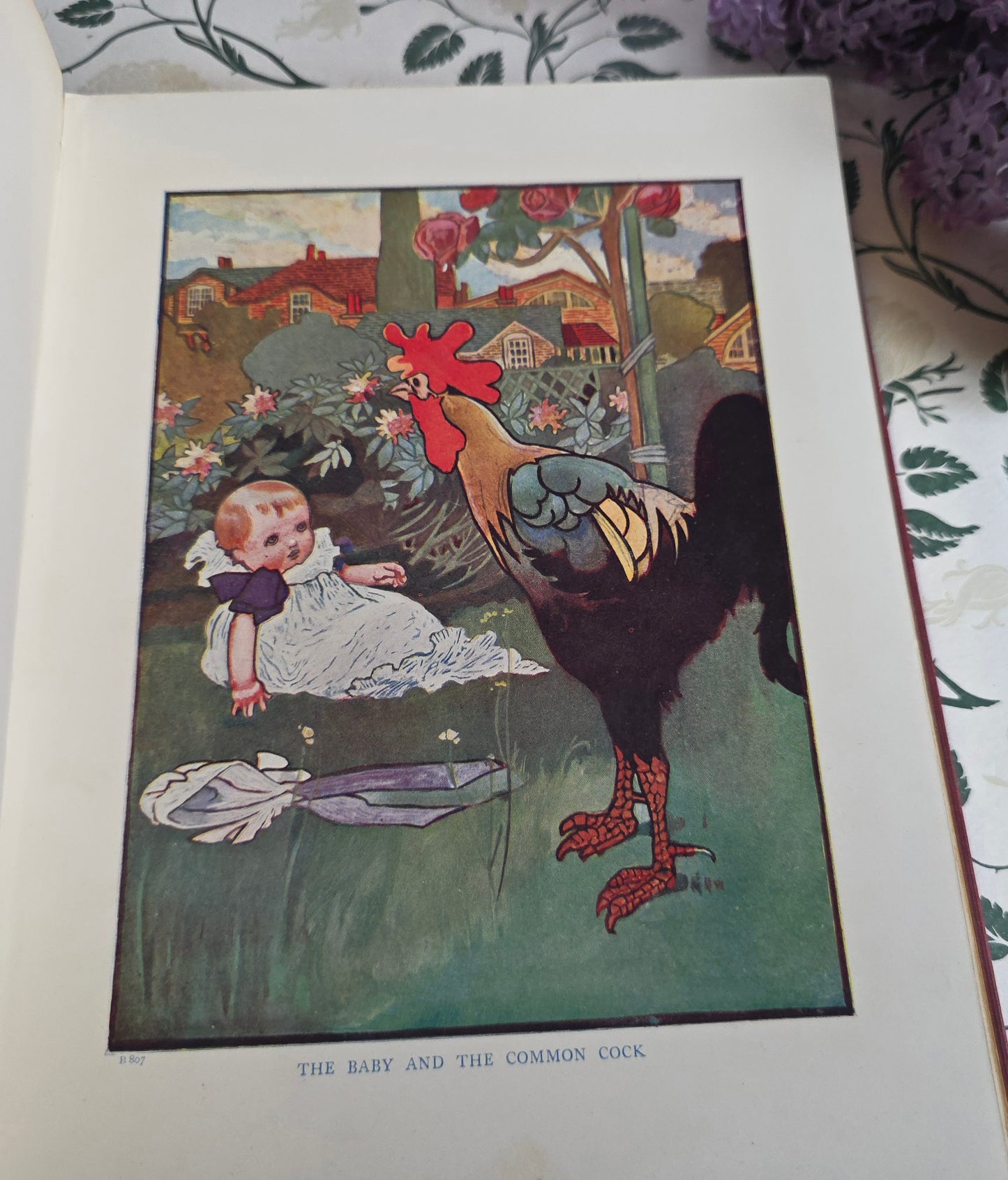 c1907 The Story of the Weathercock by Evelyn Sharp, Illustrated by Charles Robinson
