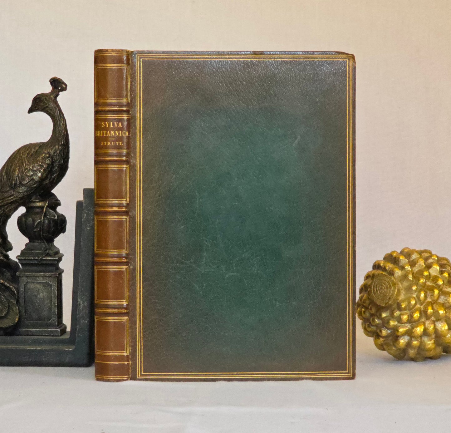 1830 Sylva Britannica or Portraits of Forest Trees by Jacob George Strutt - Illustrated Antique Book