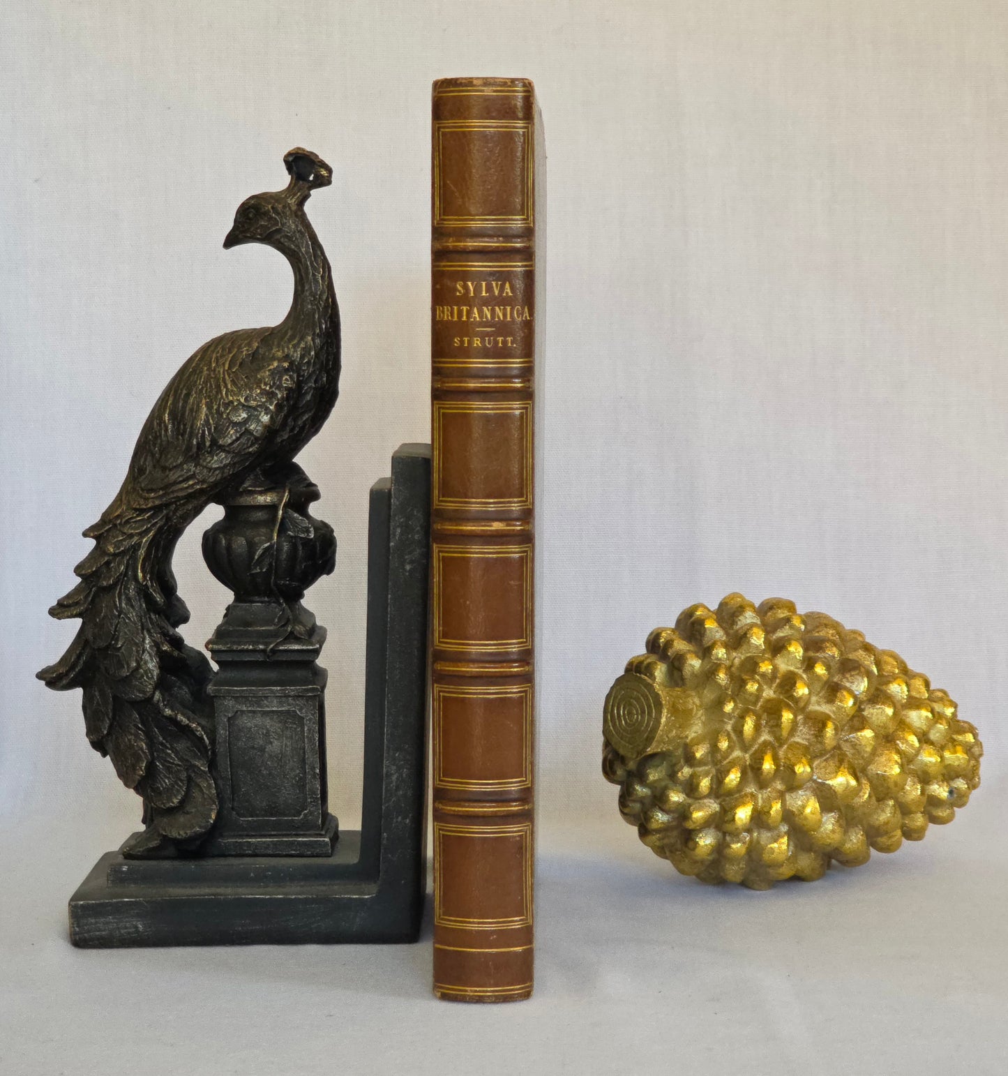 1830 Sylva Britannica or Portraits of Forest Trees by Jacob George Strutt - Illustrated Antique Book