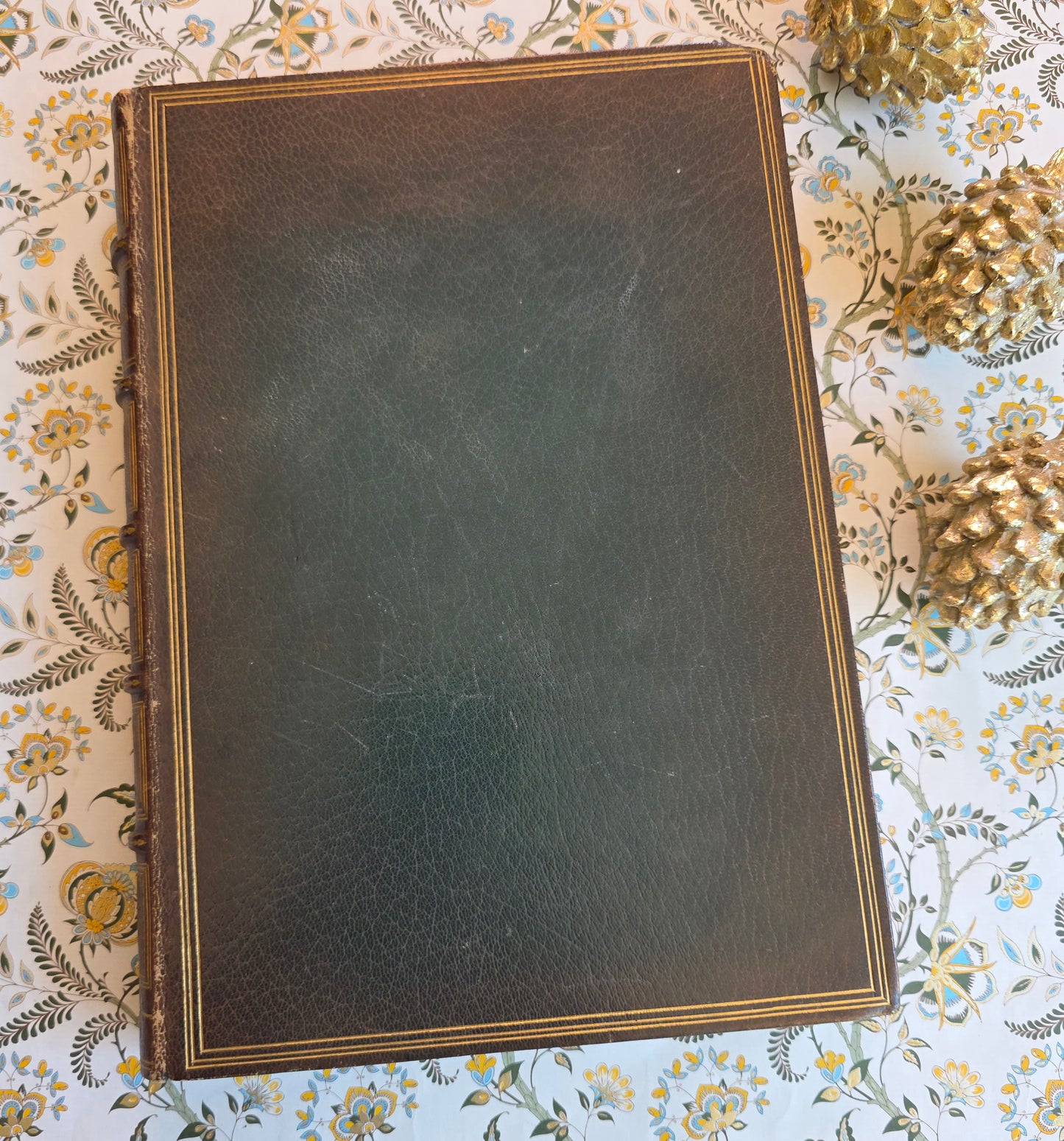 1830 Sylva Britannica or Portraits of Forest Trees by Jacob George Strutt - Illustrated Antique Book