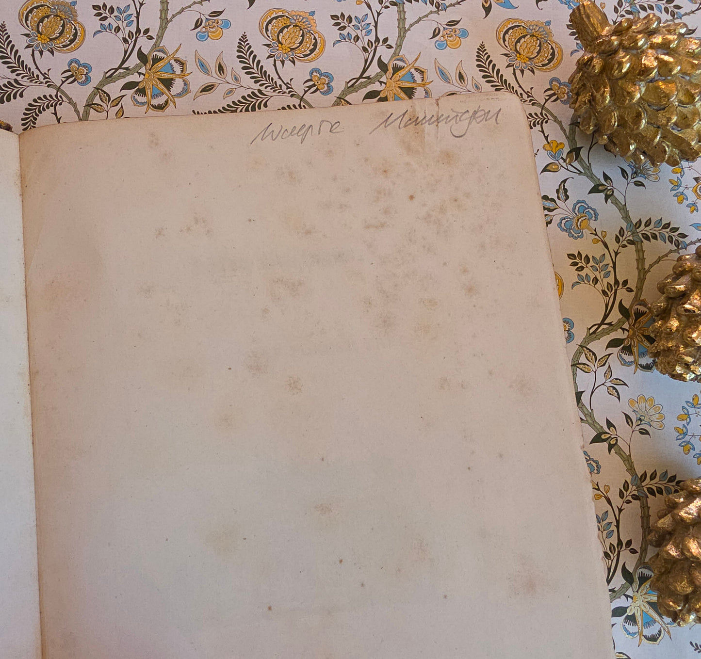 1830 Sylva Britannica or Portraits of Forest Trees by Jacob George Strutt - Illustrated Antique Book