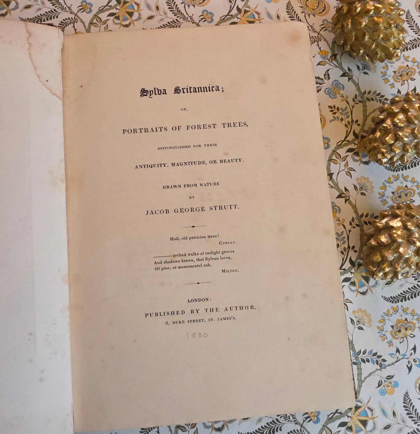 1830 Sylva Britannica or Portraits of Forest Trees by Jacob George Strutt - Illustrated Antique Book