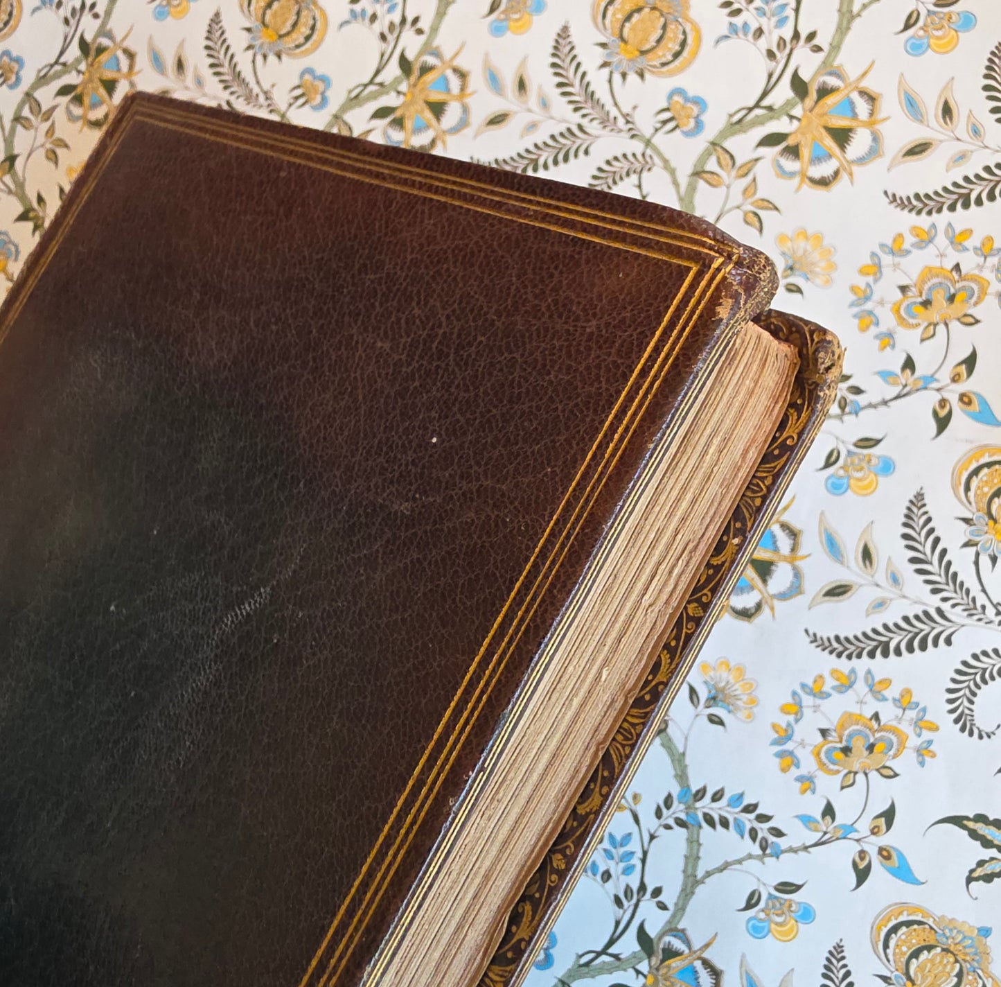 1830 Sylva Britannica or Portraits of Forest Trees by Jacob George Strutt - Illustrated Antique Book