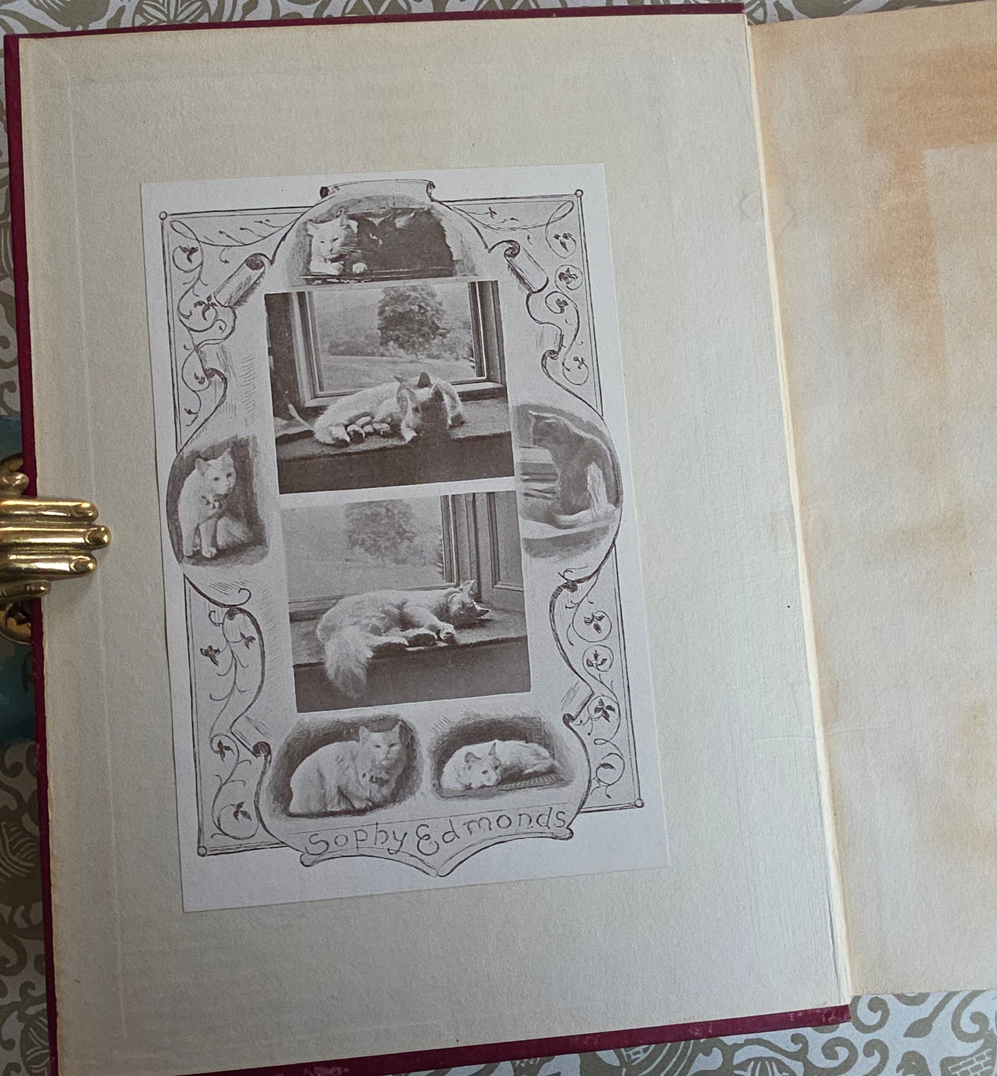 1923 The Horse in Myth and Magic by M Oldfield - Illustrated Antique Book