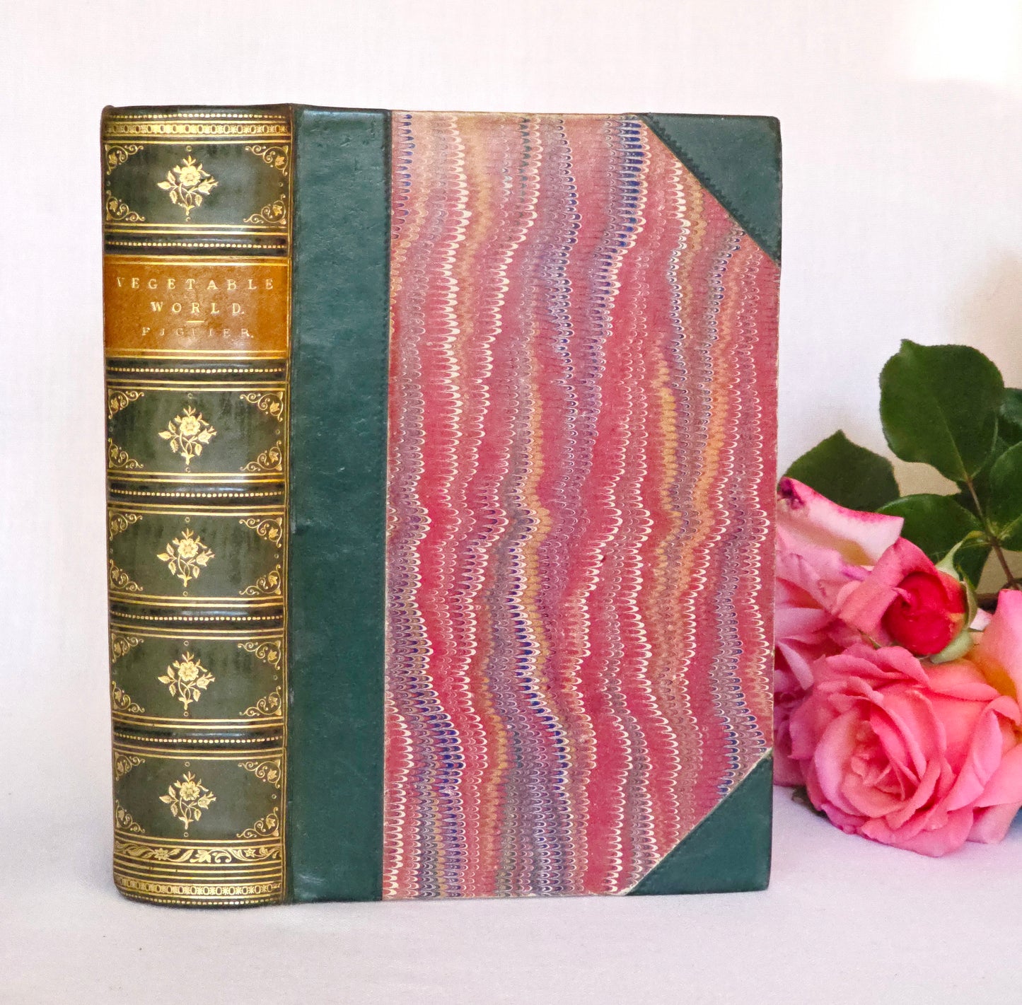 c1880 The Vegetable World Being a History of Plants by Louis Figuier - Illustrated Antique Book