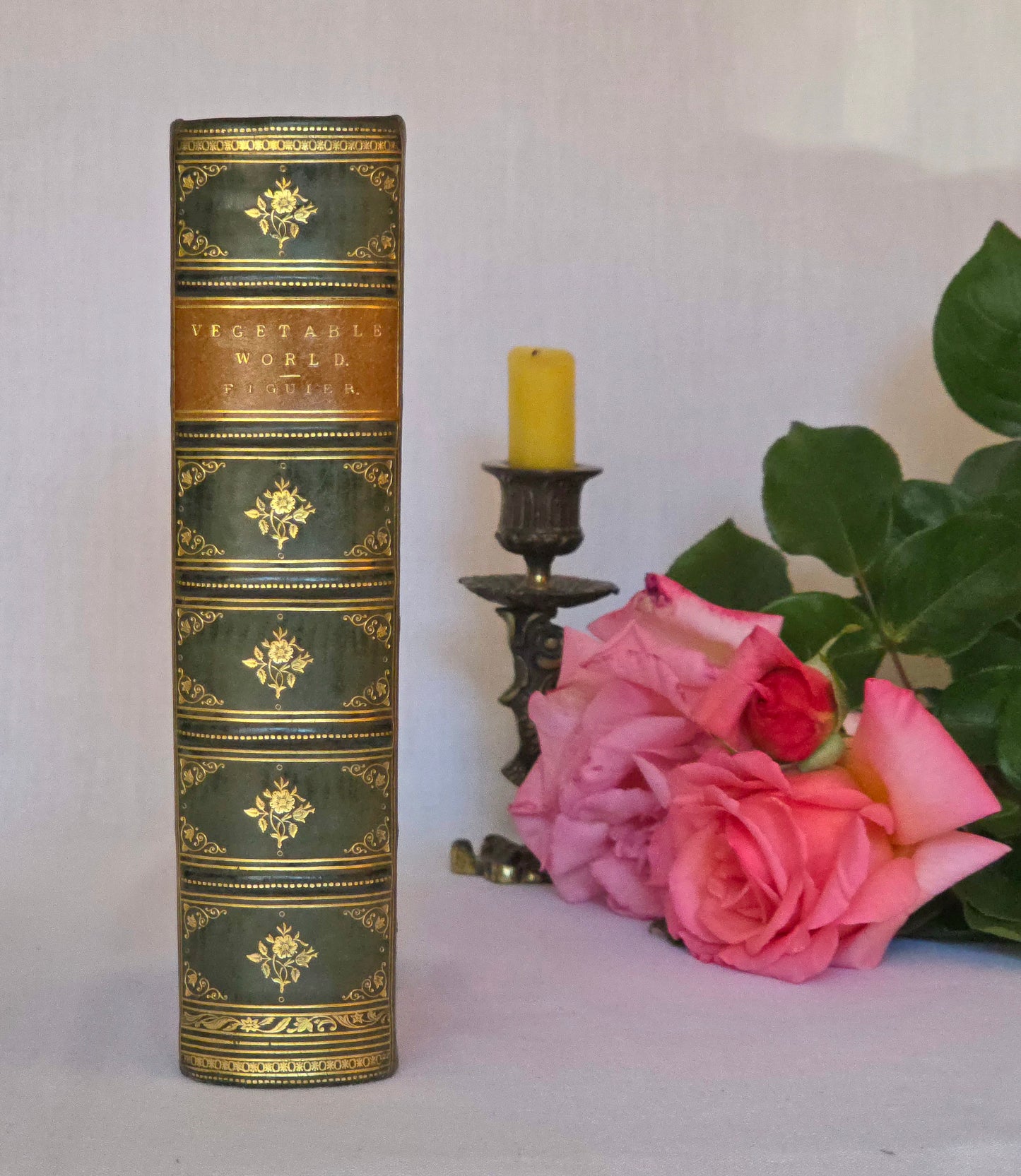 c1880 The Vegetable World Being a History of Plants by Louis Figuier - Illustrated Antique Book