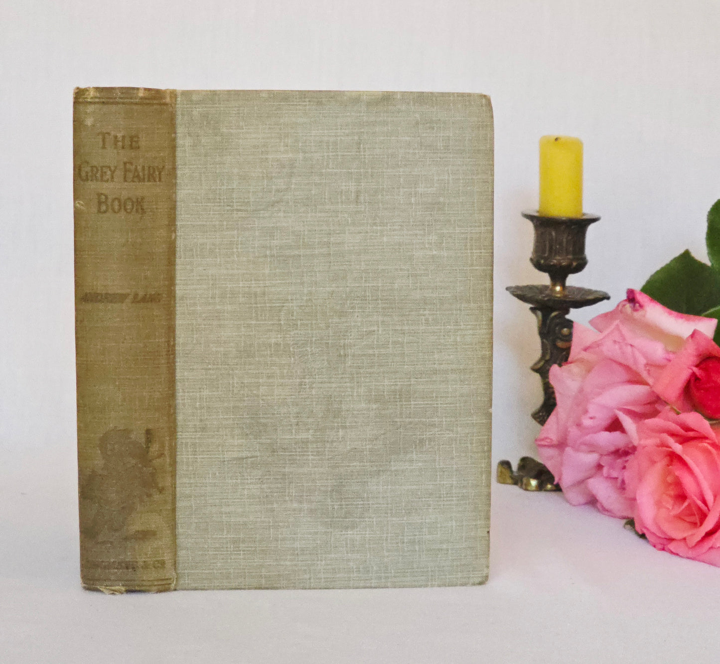 1918 The Grey Fairy Book : Beautifully Illustrated Antique Book