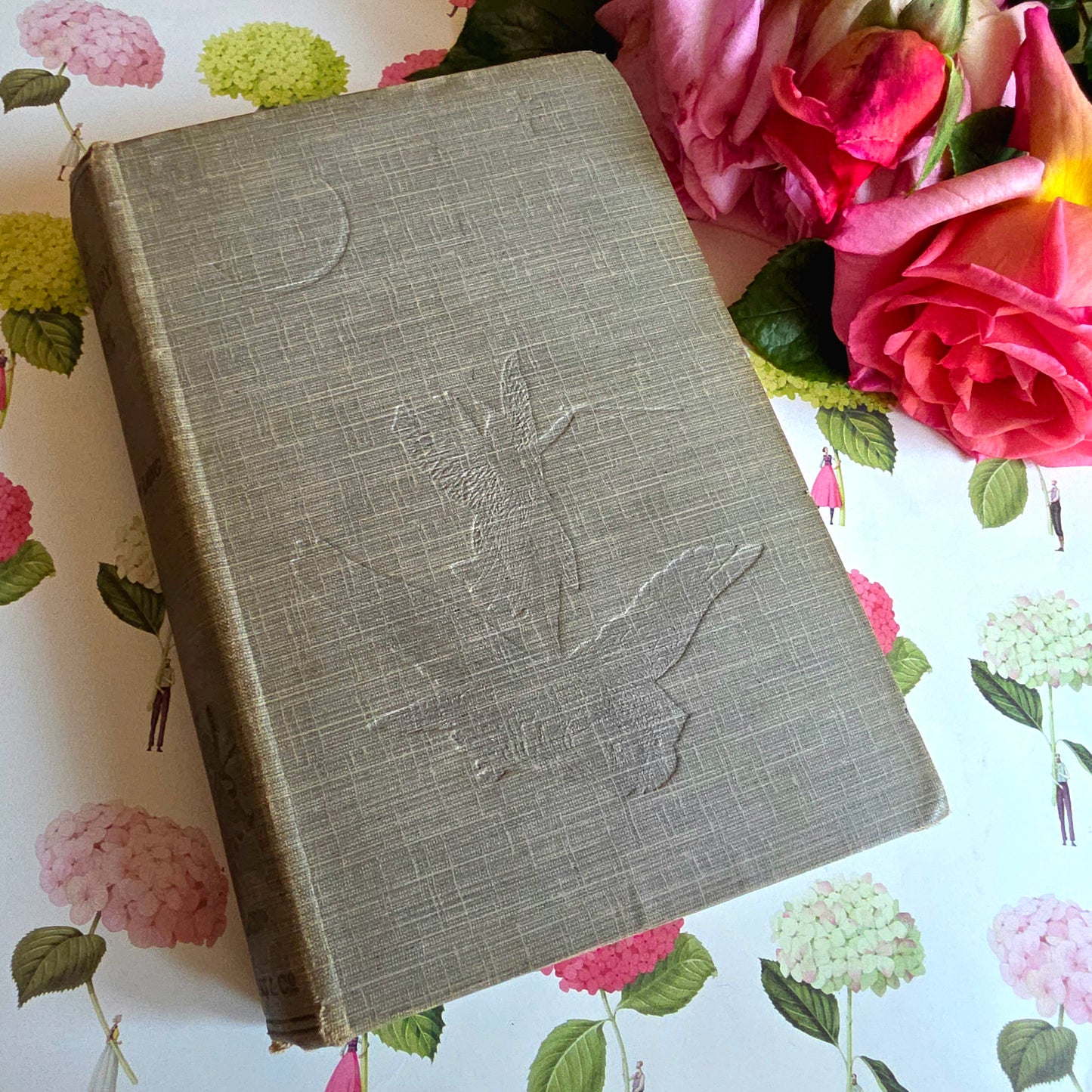 1918 The Grey Fairy Book : Beautifully Illustrated Antique Book