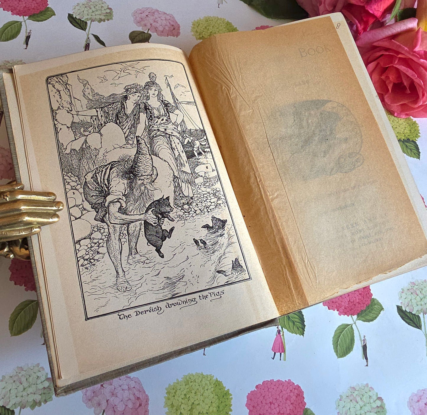 1918 The Grey Fairy Book : Beautifully Illustrated Antique Book