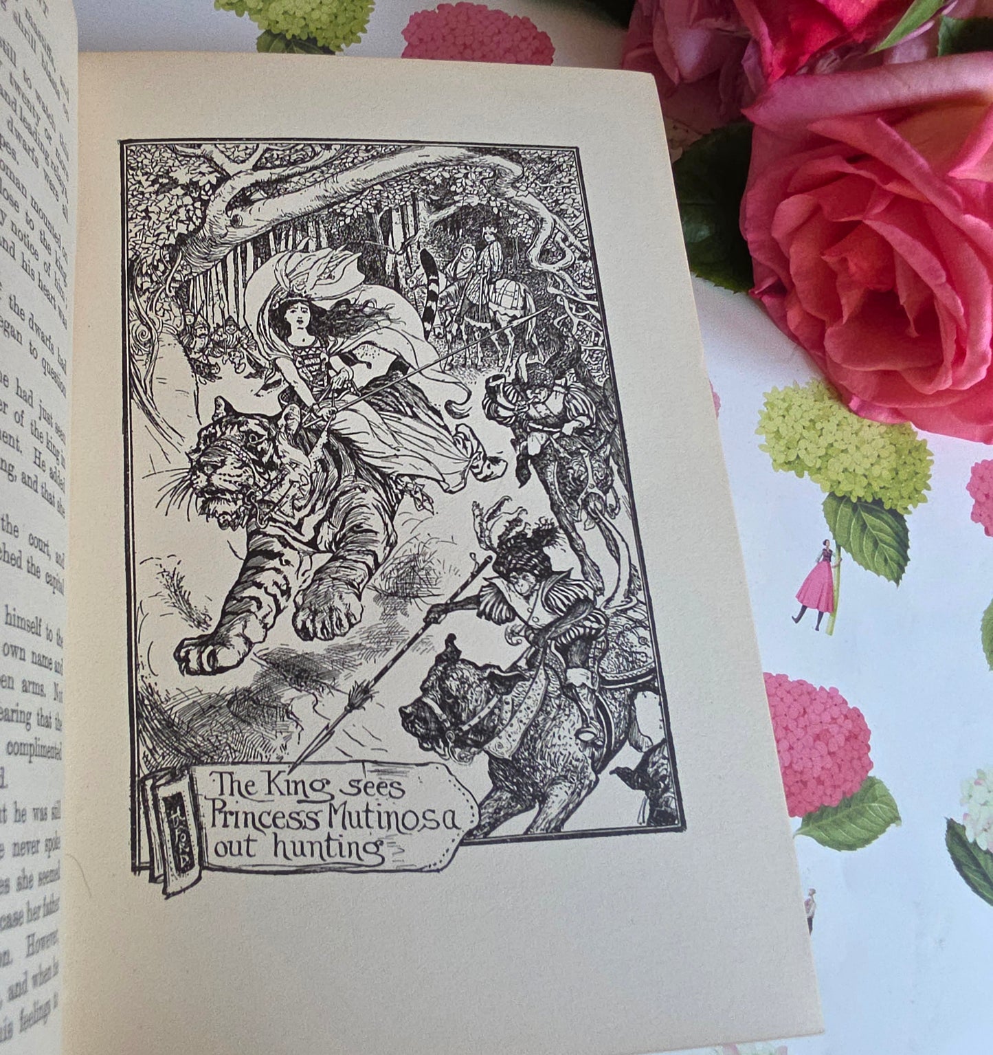 1918 The Grey Fairy Book : Beautifully Illustrated Antique Book