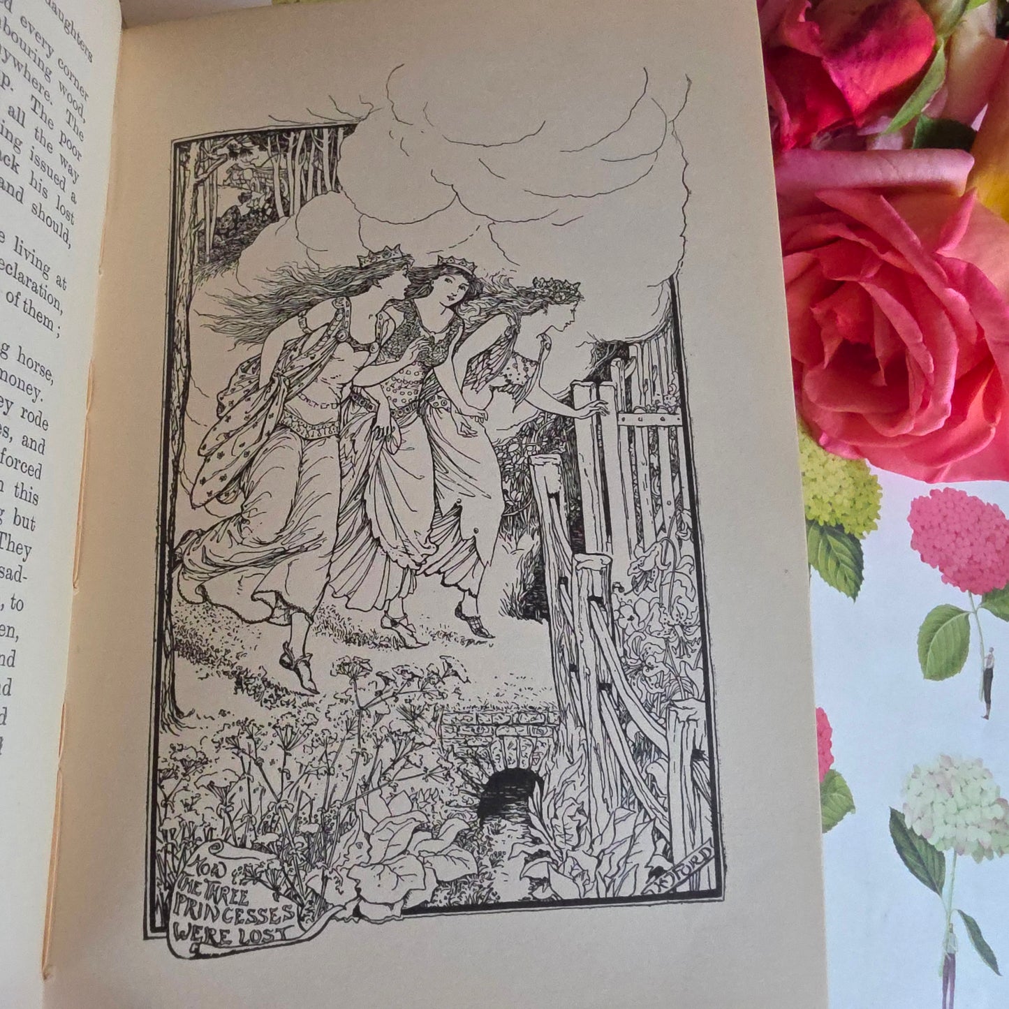 1918 The Grey Fairy Book : Beautifully Illustrated Antique Book