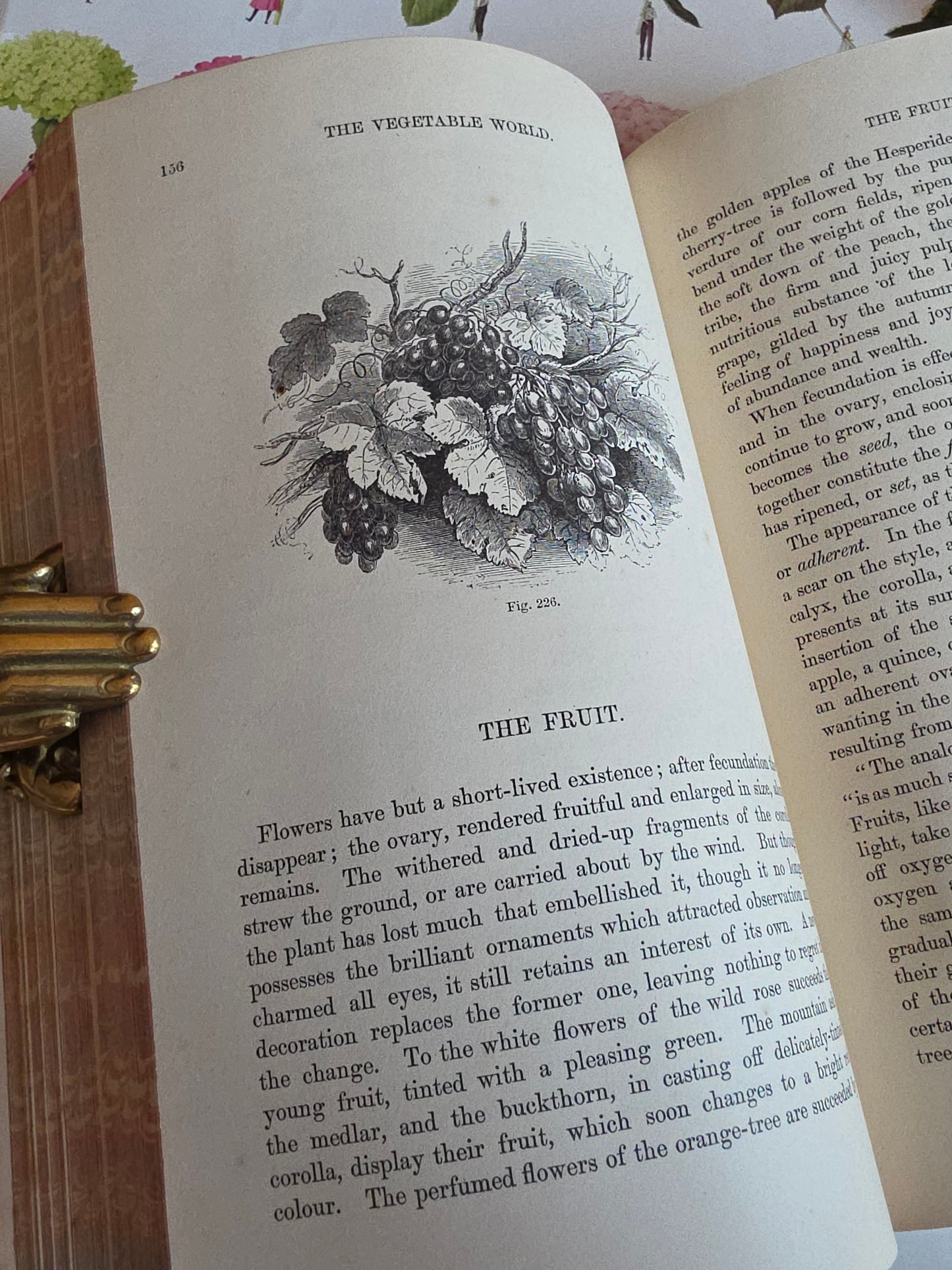 c1880 The Vegetable World Being a History of Plants by Louis Figuier - Illustrated Antique Book