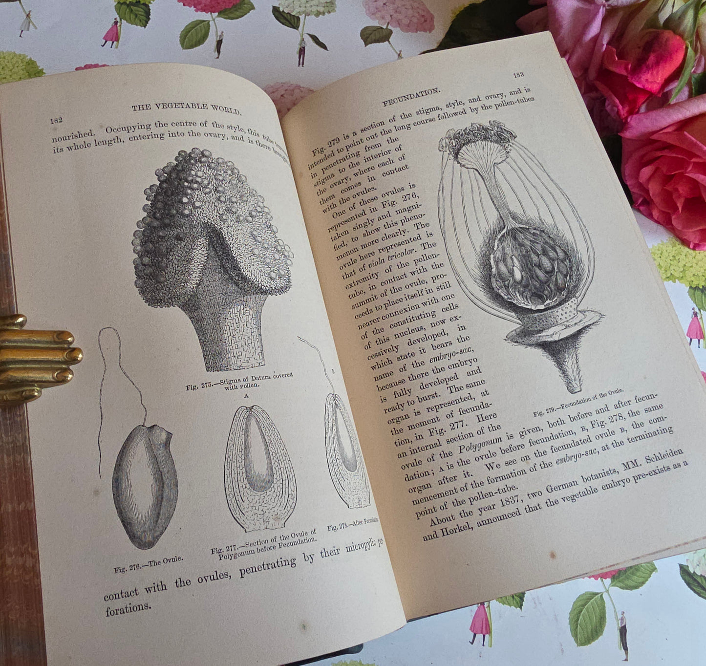c1880 The Vegetable World Being a History of Plants by Louis Figuier - Illustrated Antique Book