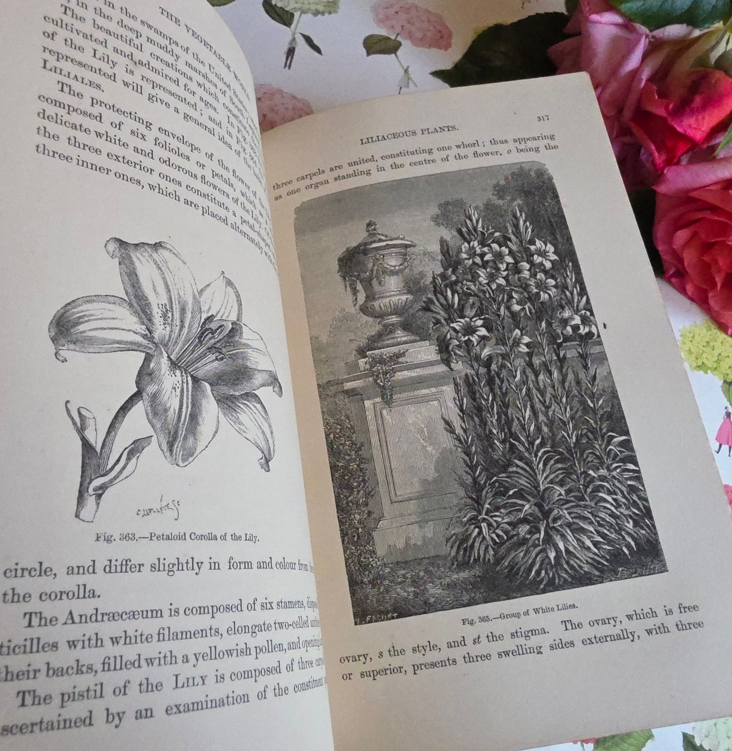 c1880 The Vegetable World Being a History of Plants by Louis Figuier - Illustrated Antique Book