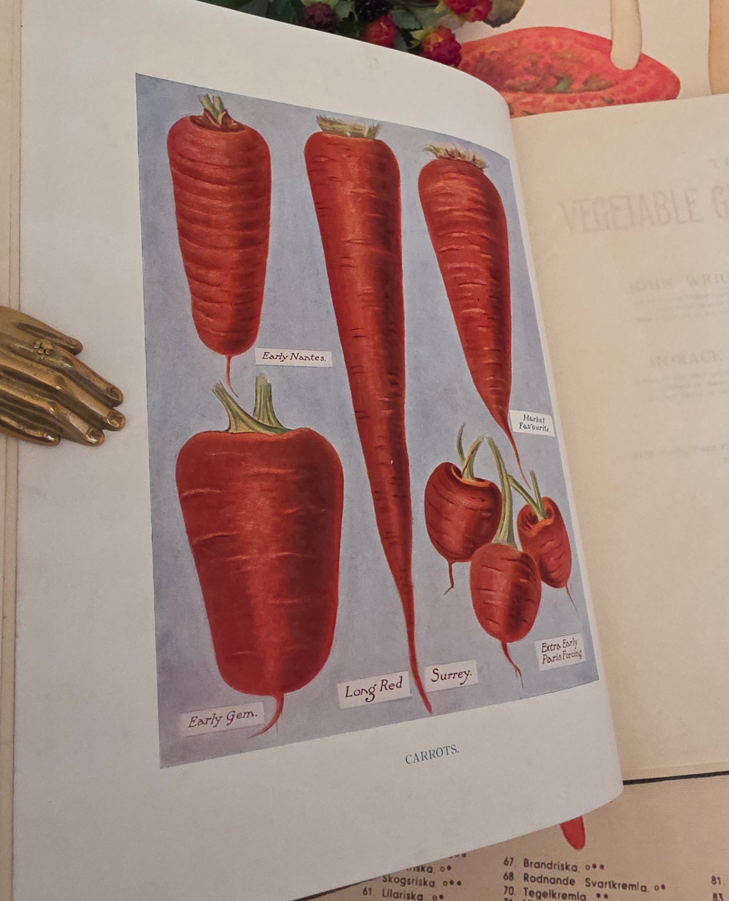 1909 The Vegetable Grower's Guide - Illustrated Antique Book Set