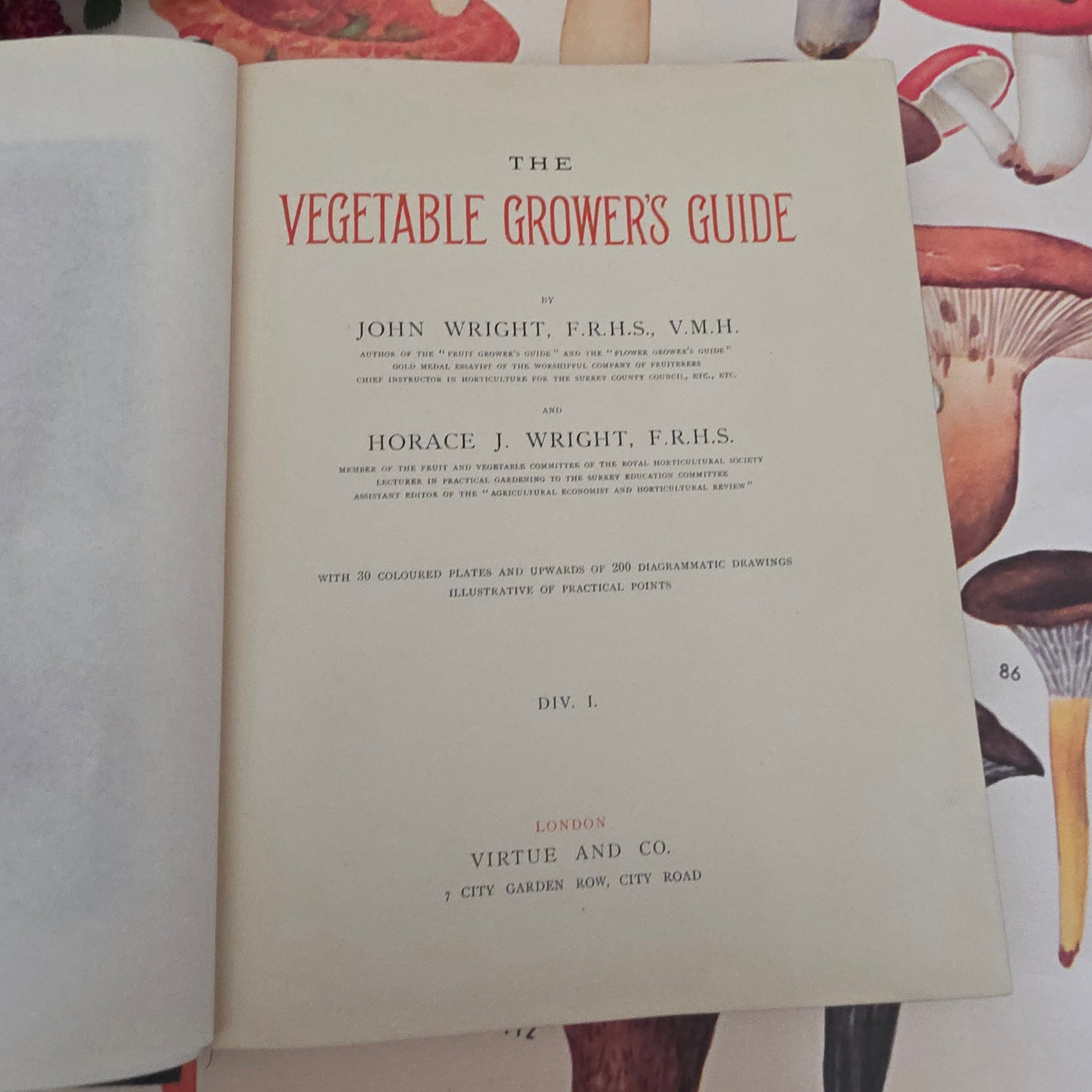 1909 The Vegetable Grower's Guide - Illustrated Antique Book Set