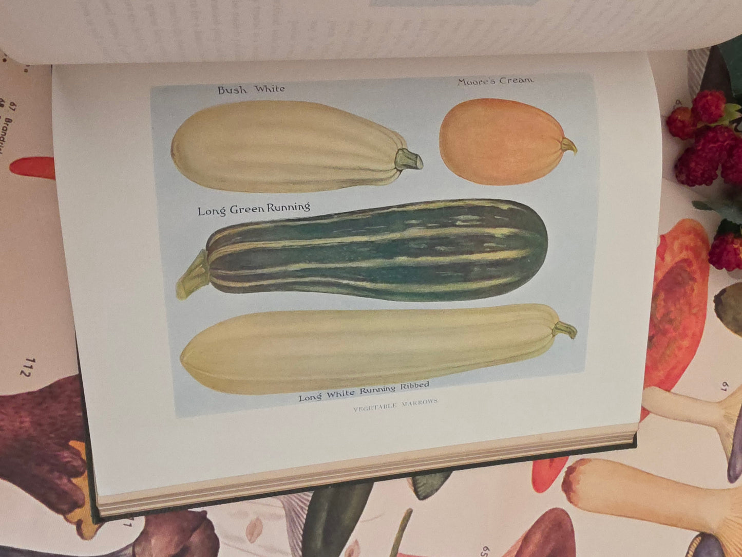 1909 The Vegetable Grower's Guide - Illustrated Antique Book Set
