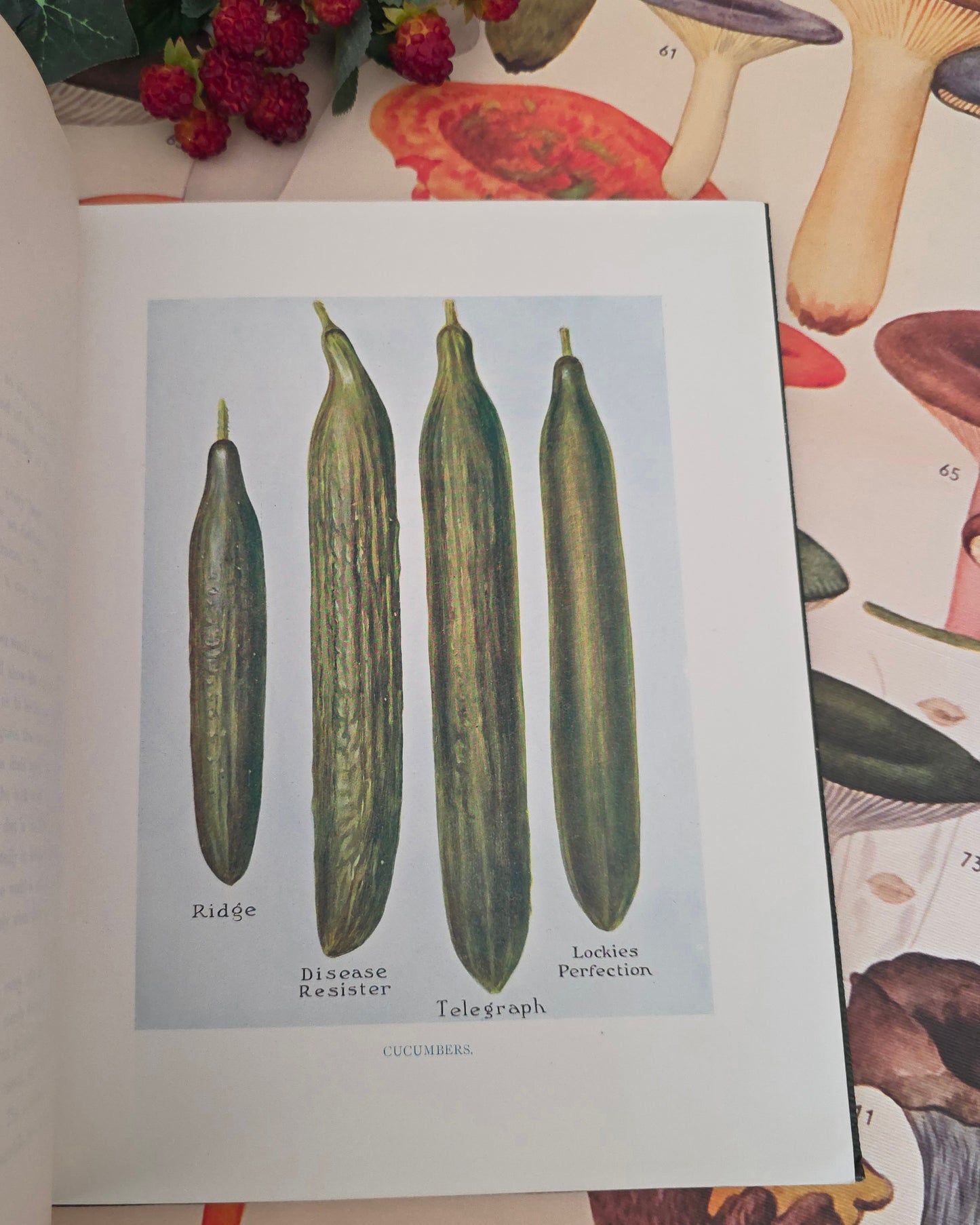 1909 The Vegetable Grower's Guide - Illustrated Antique Book Set