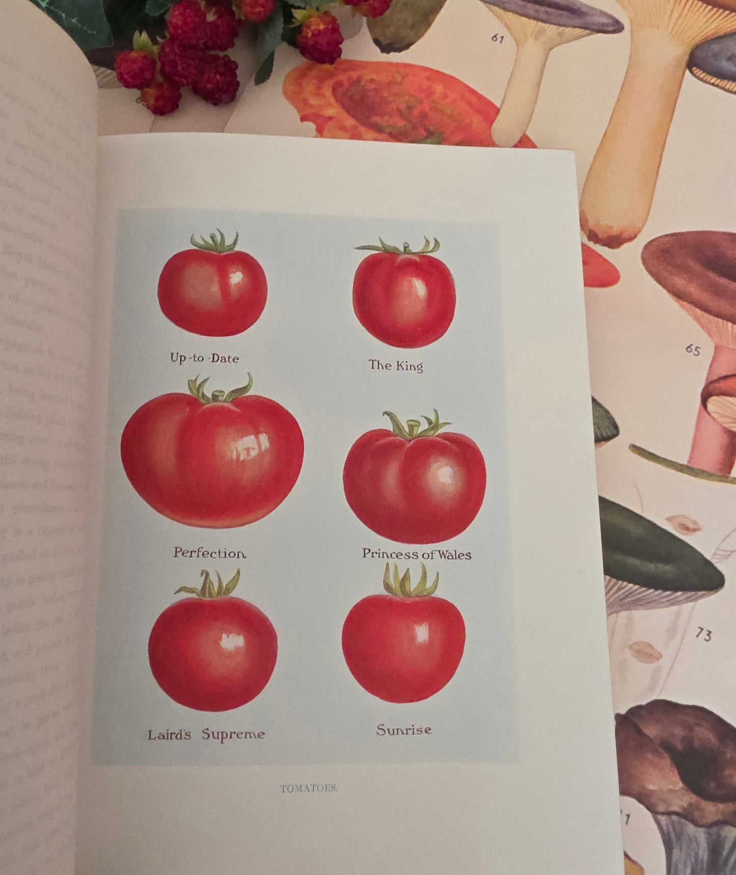 1909 The Vegetable Grower's Guide - Illustrated Antique Book Set