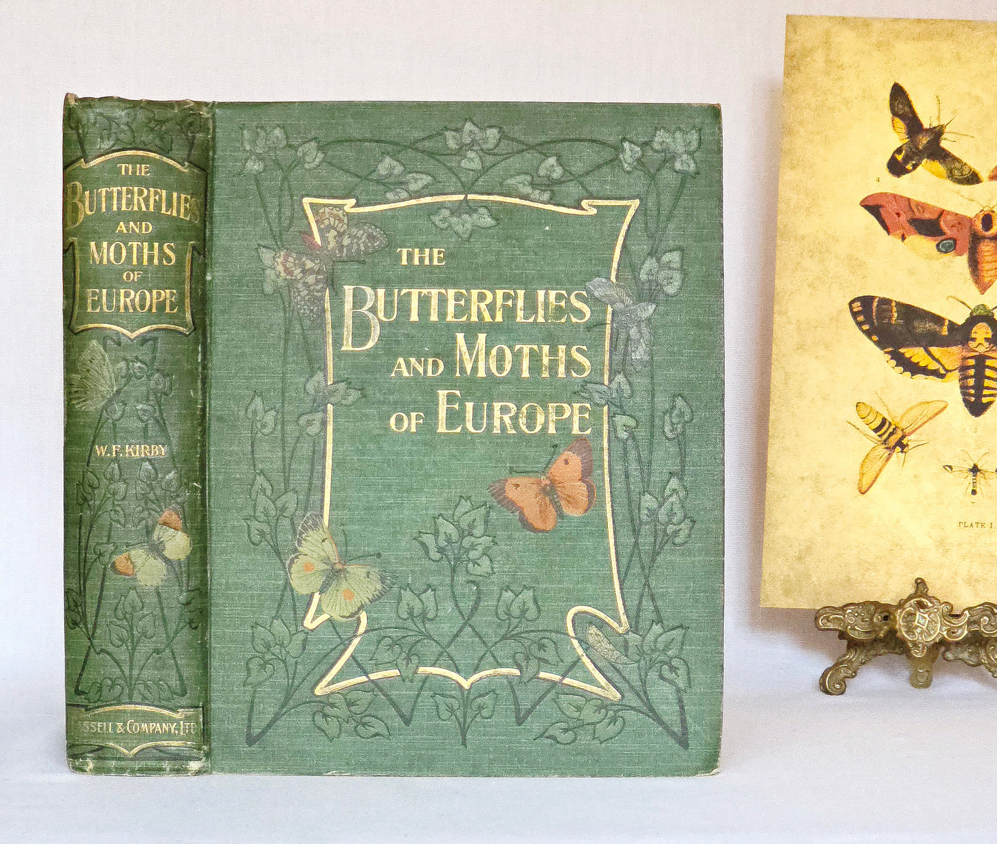 1907 The Butterflies and Moths of Europe by WF Kirby - Large Illustrated Antique Book