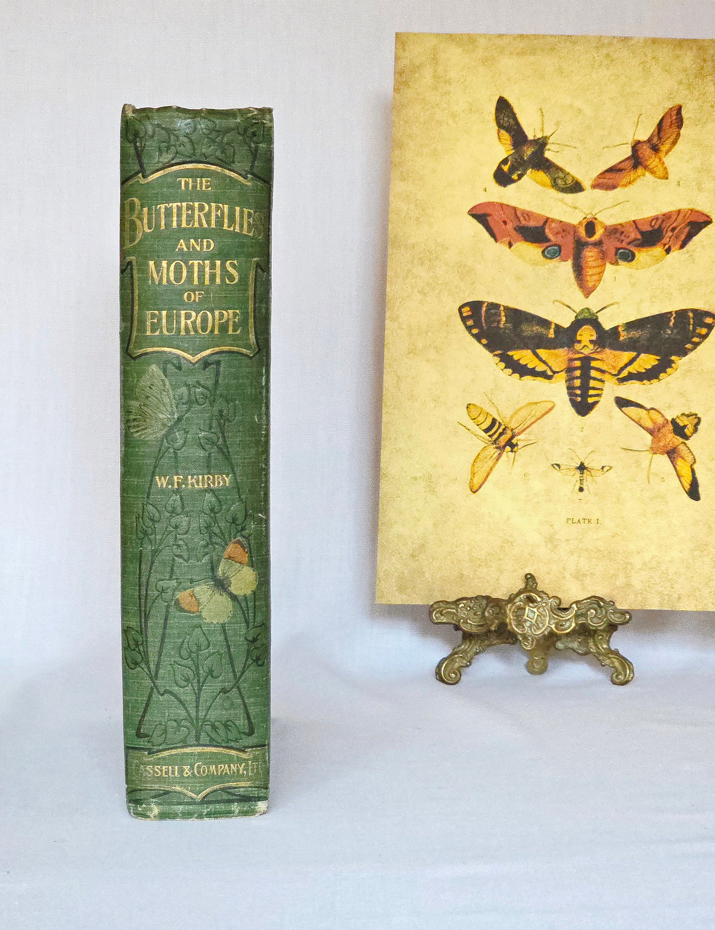 1907 The Butterflies and Moths of Europe by WF Kirby - Large Illustrated Antique Book