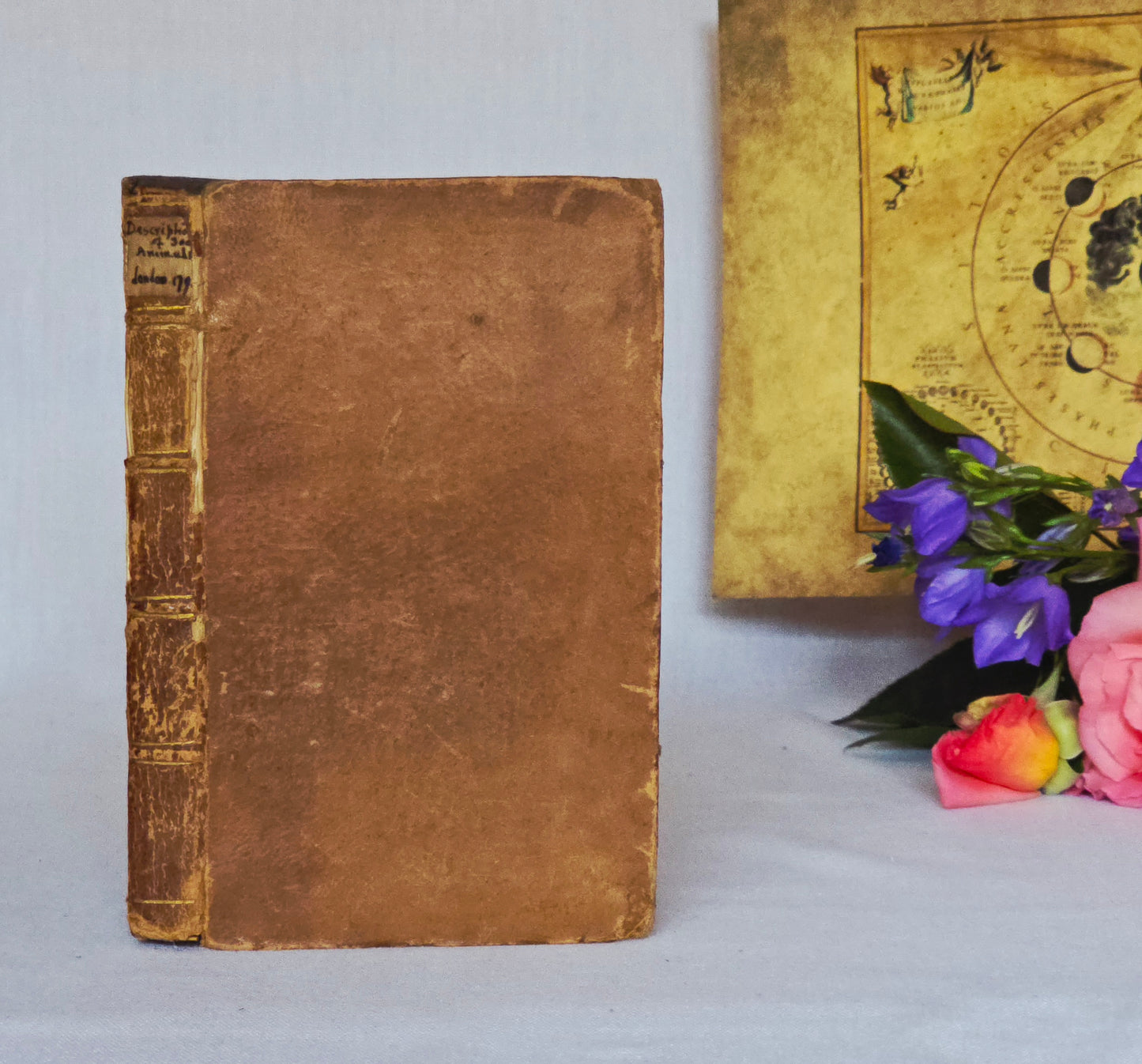 1791 A Description of Three Hundred Animals - Antique Book - Unicorns, Dragons etc.