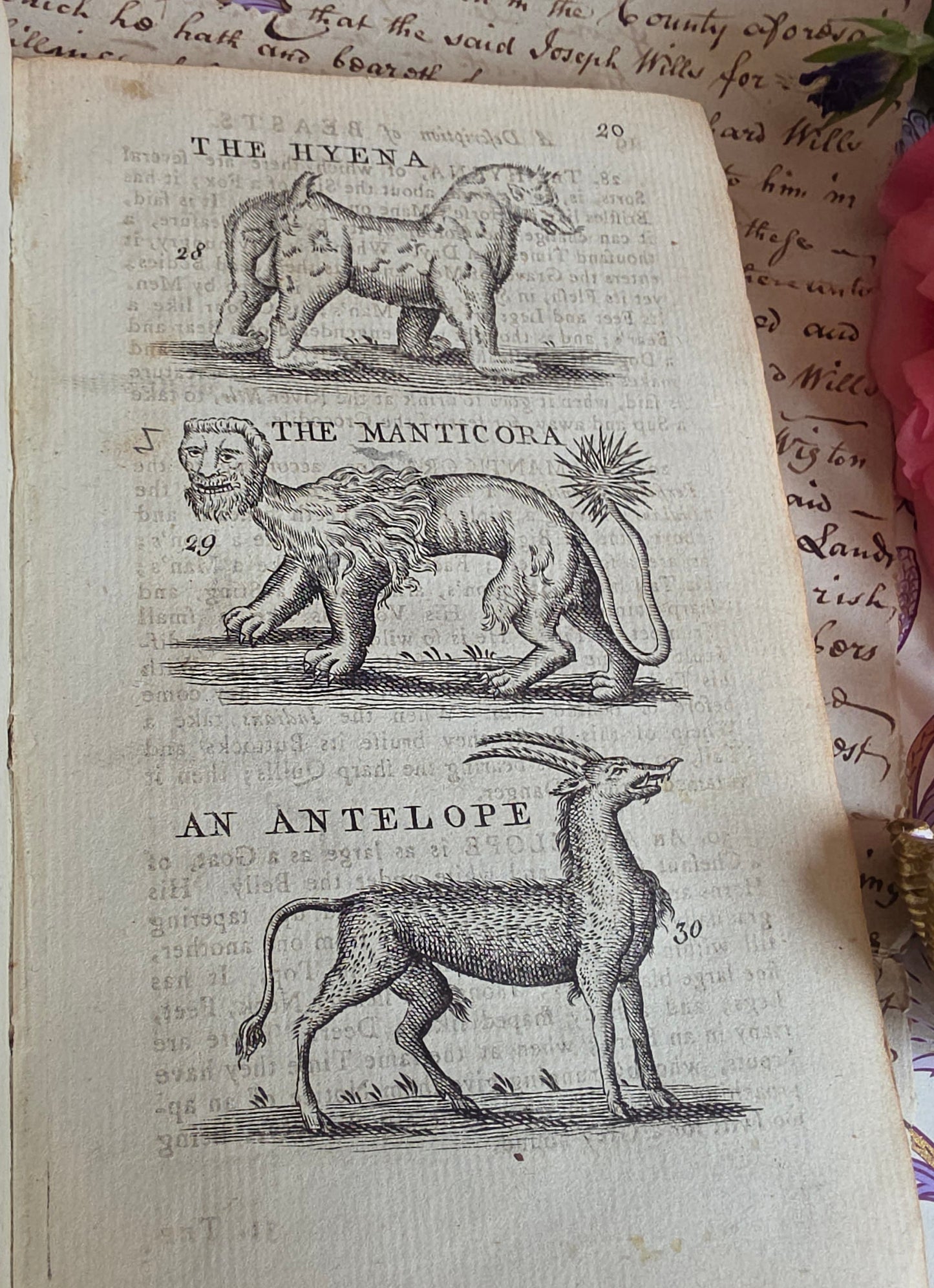 1791 A Description of Three Hundred Animals - Antique Book - Unicorns, Dragons etc.