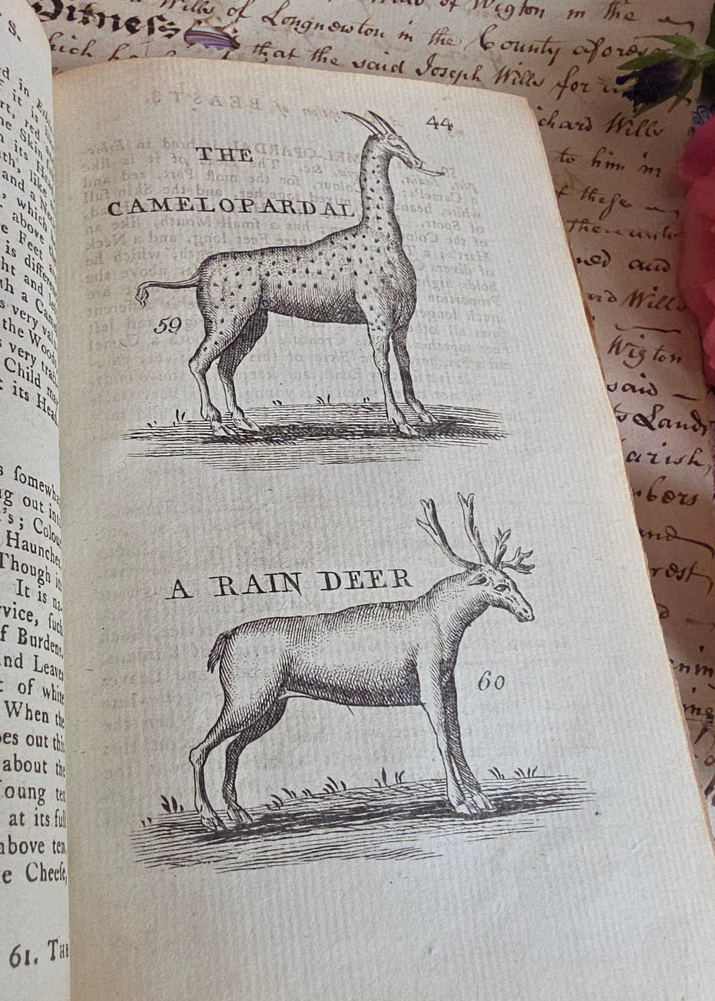 1791 A Description of Three Hundred Animals - Antique Book - Unicorns, Dragons etc.
