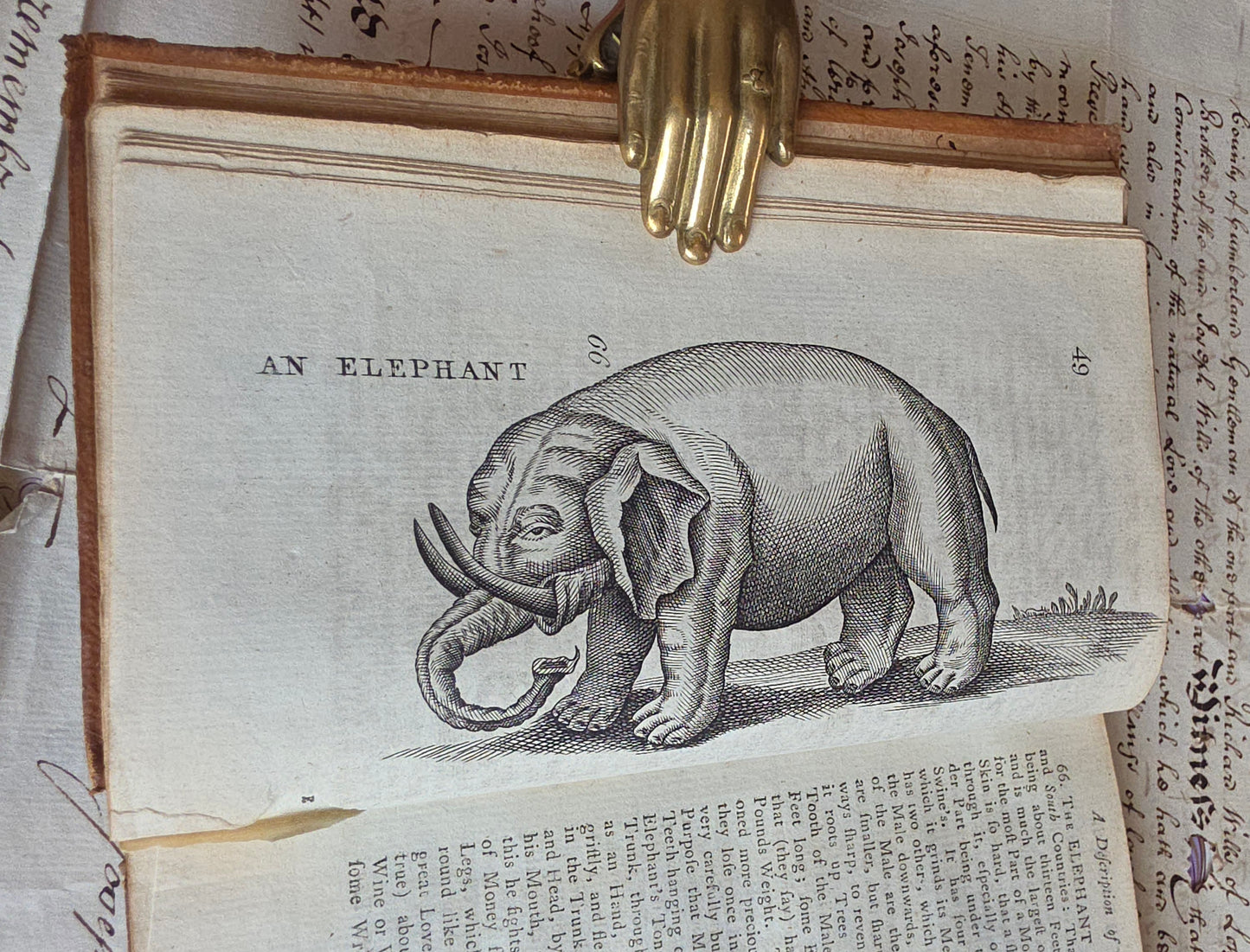 1791 A Description of Three Hundred Animals - Antique Book - Unicorns, Dragons etc.