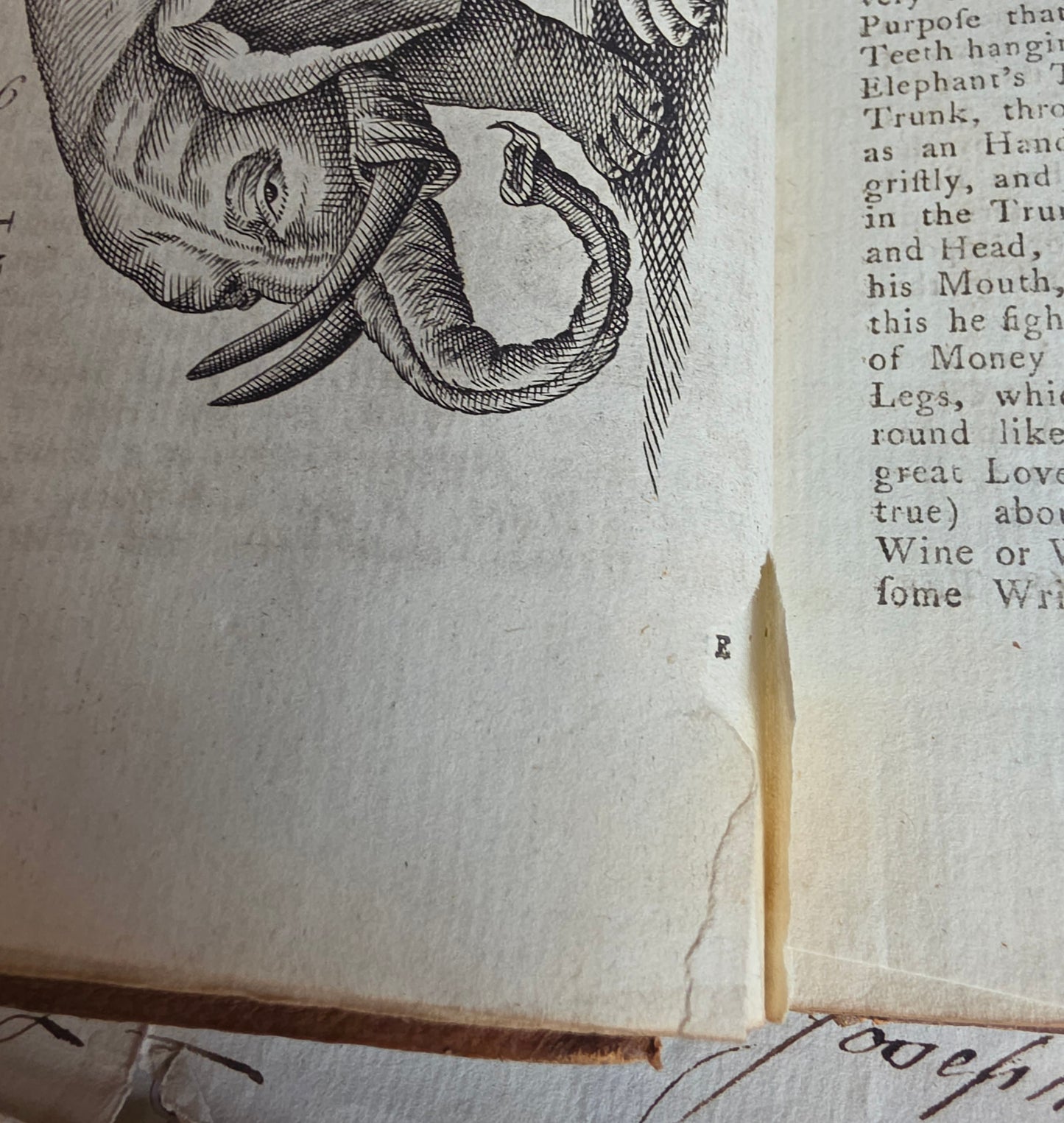 1791 A Description of Three Hundred Animals - Antique Book - Unicorns, Dragons etc.