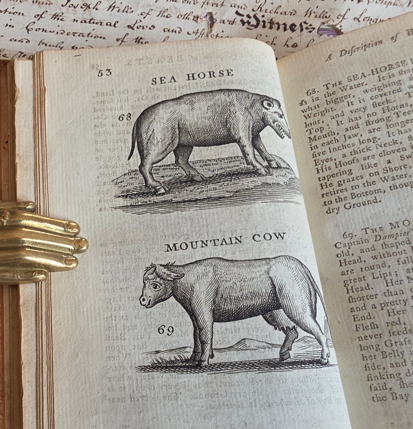 1791 A Description of Three Hundred Animals - Antique Book - Unicorns, Dragons etc.